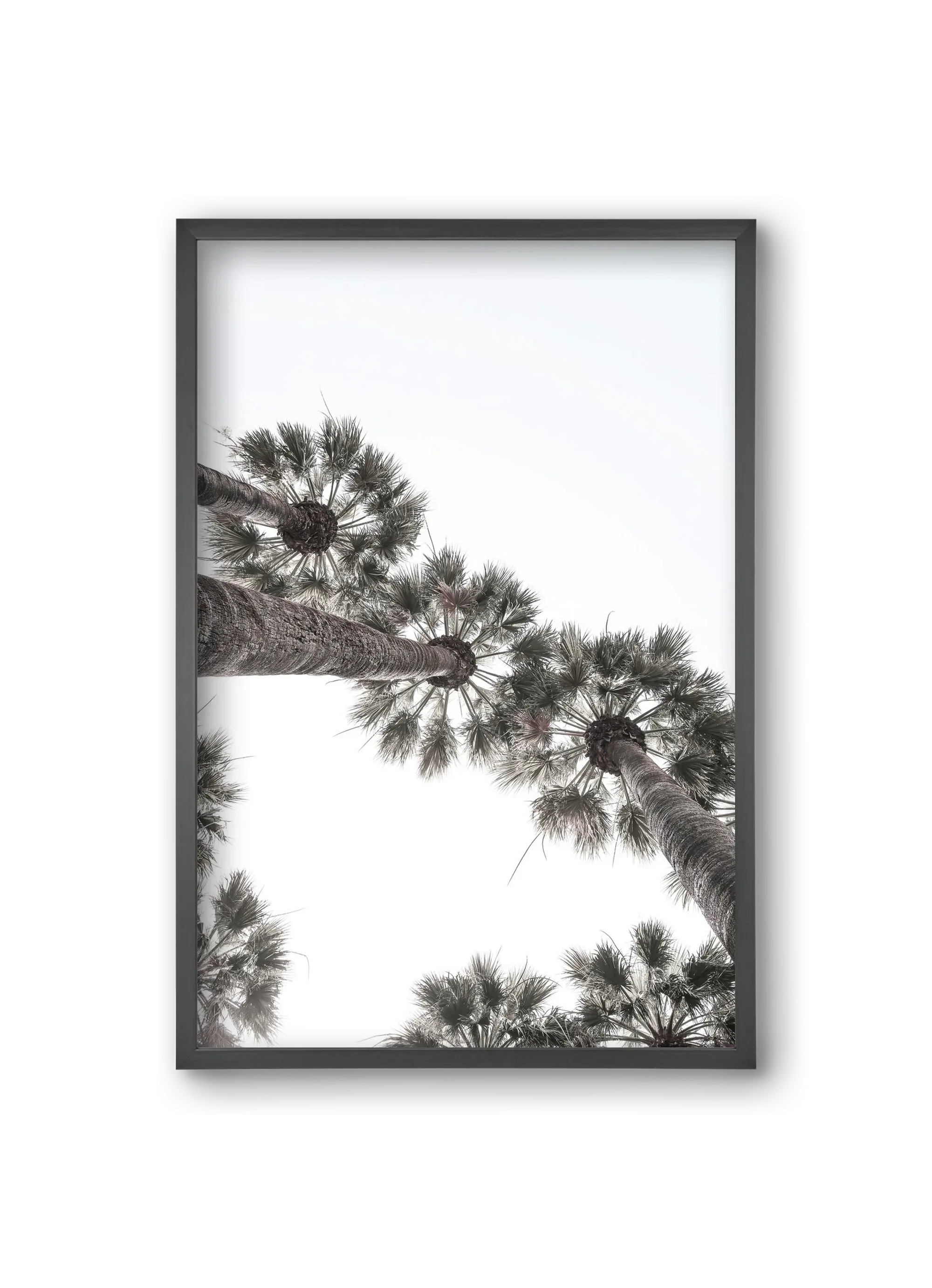 Bodrum Plams - artbridge