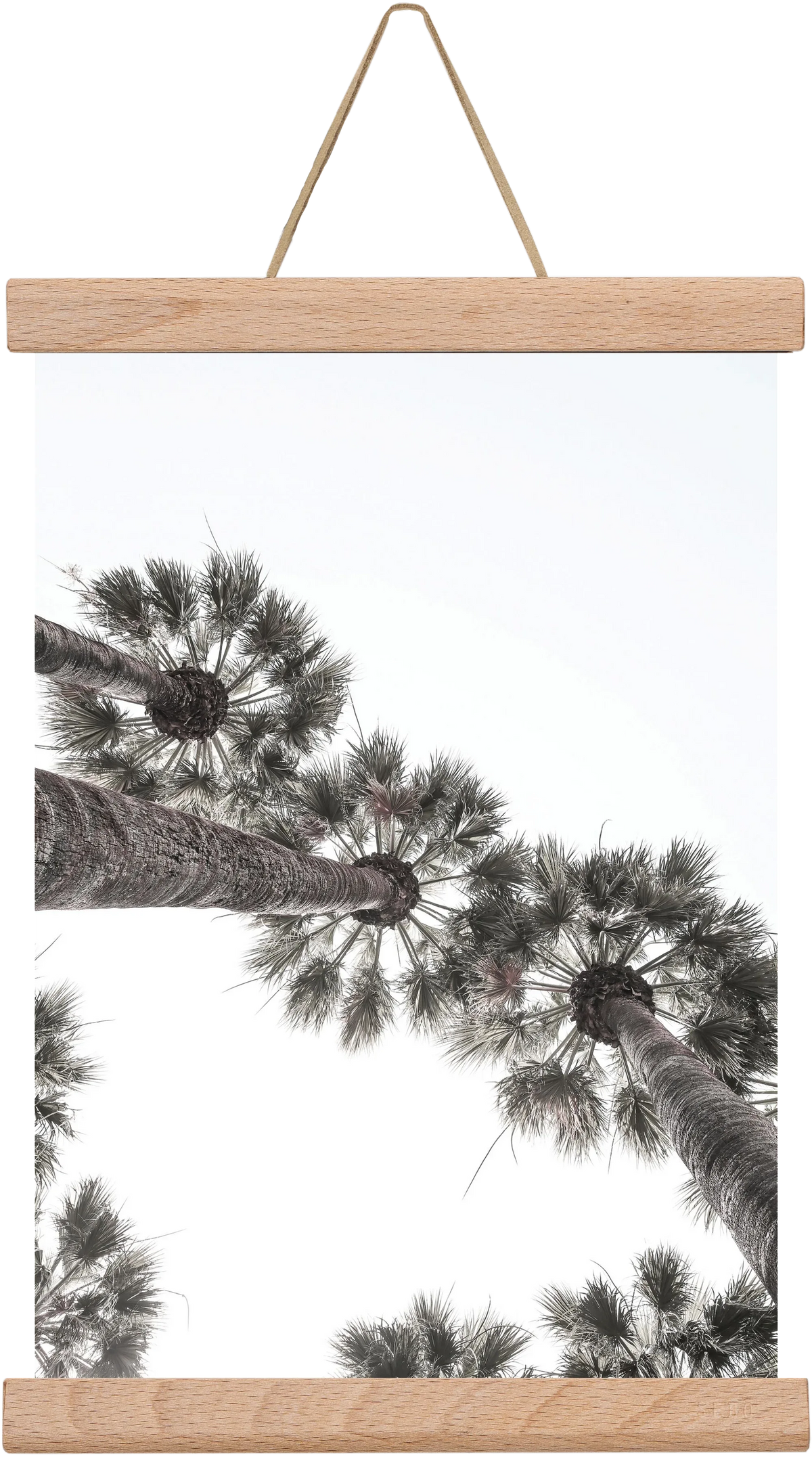 Bodrum Plams - artbridge