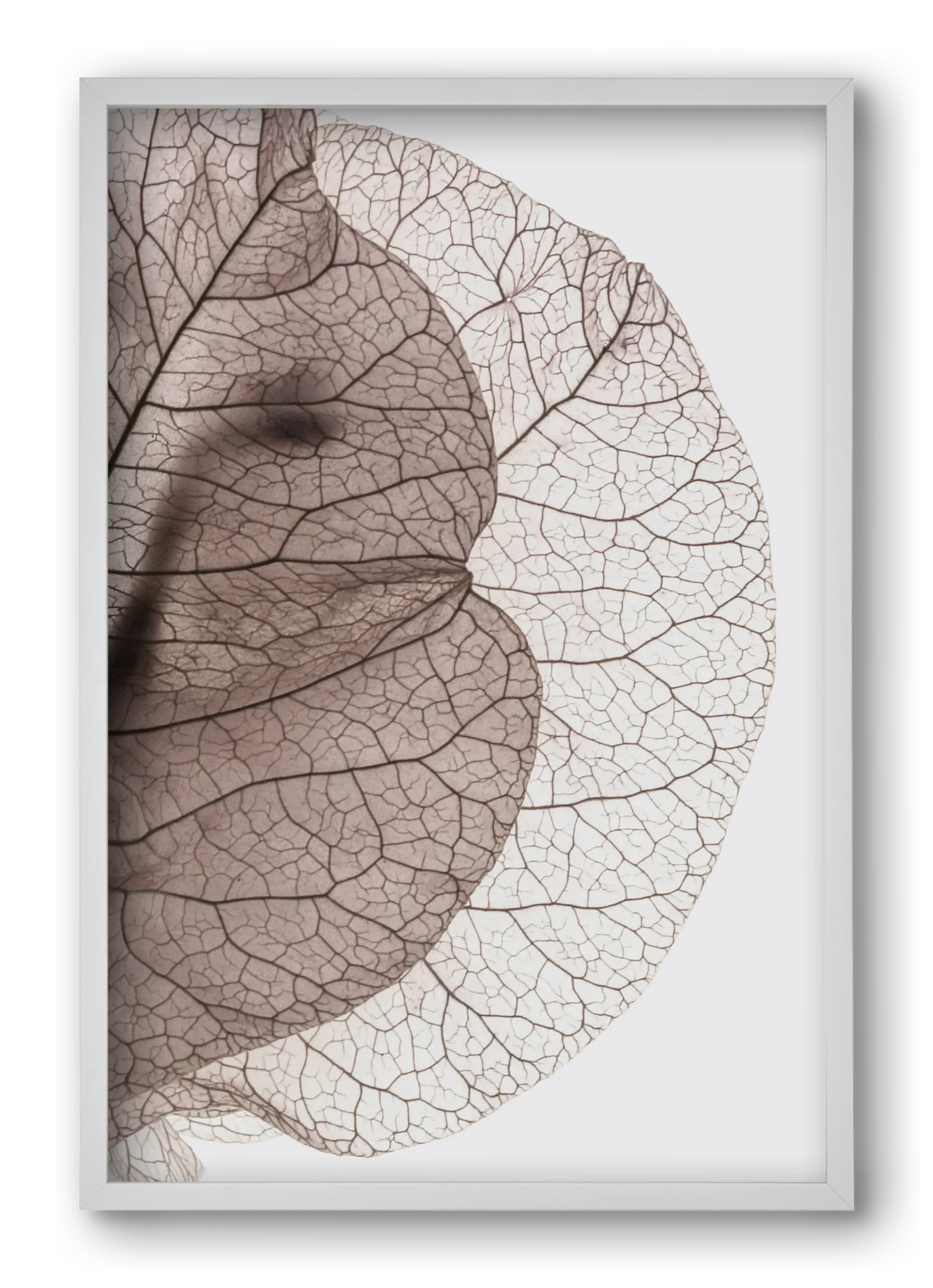 Bougainvillea Island - artbridge