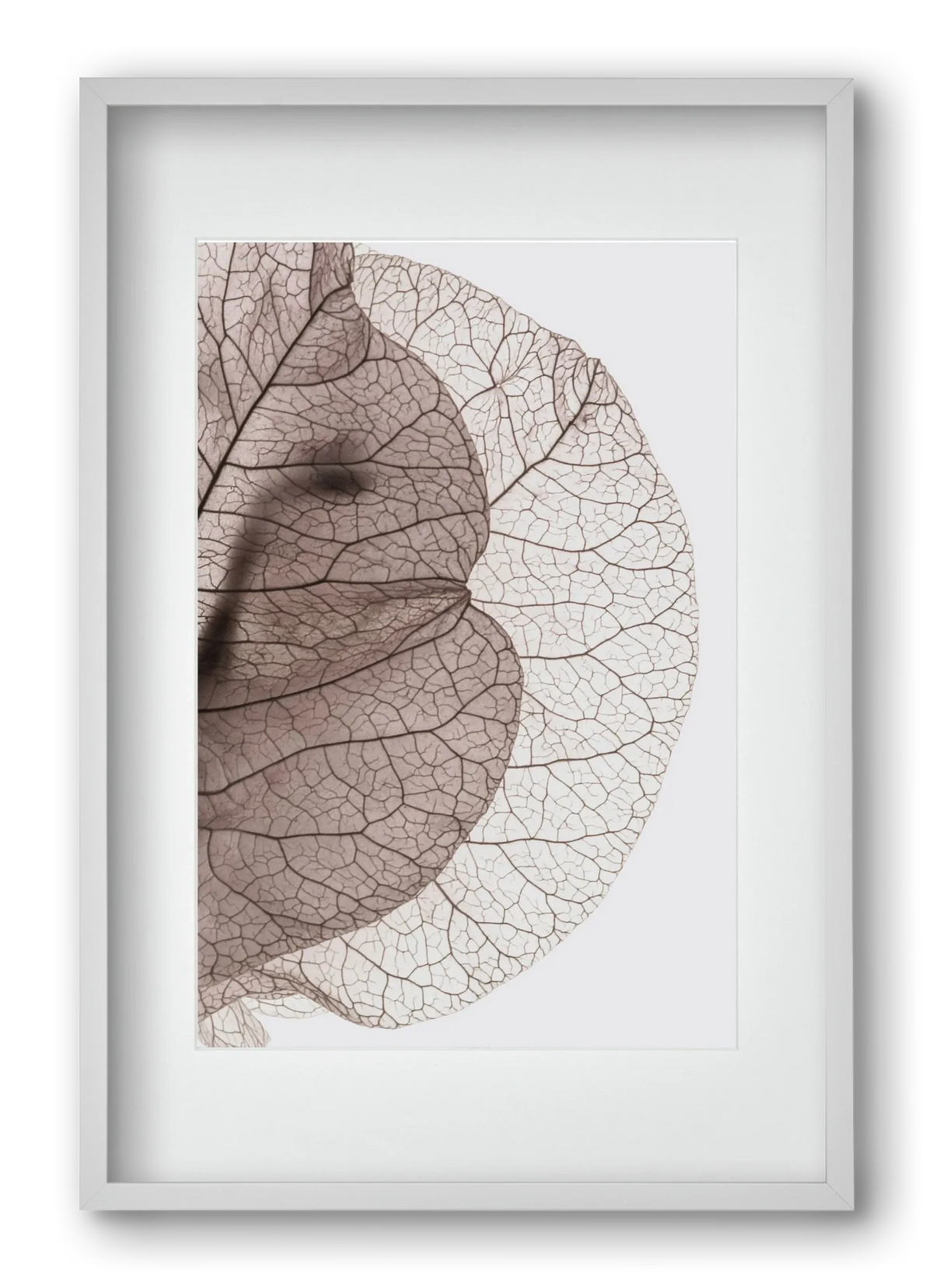 Bougainvillea Island - artbridge