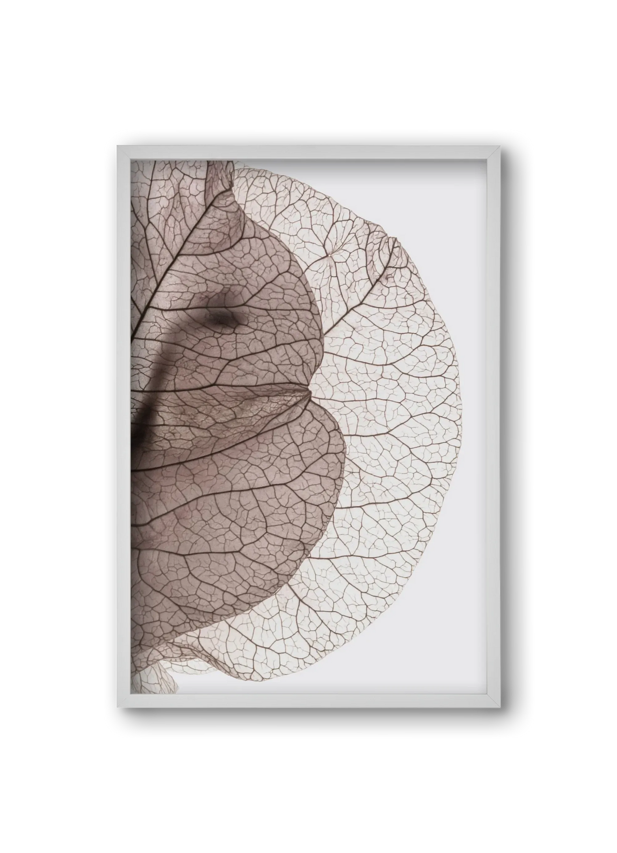 Bougainvillea Island - artbridge