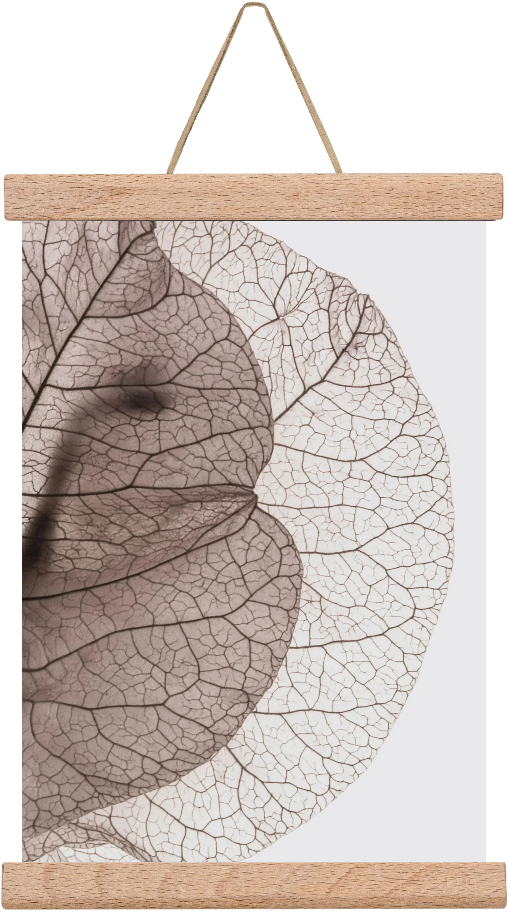 Bougainvillea Island - artbridge