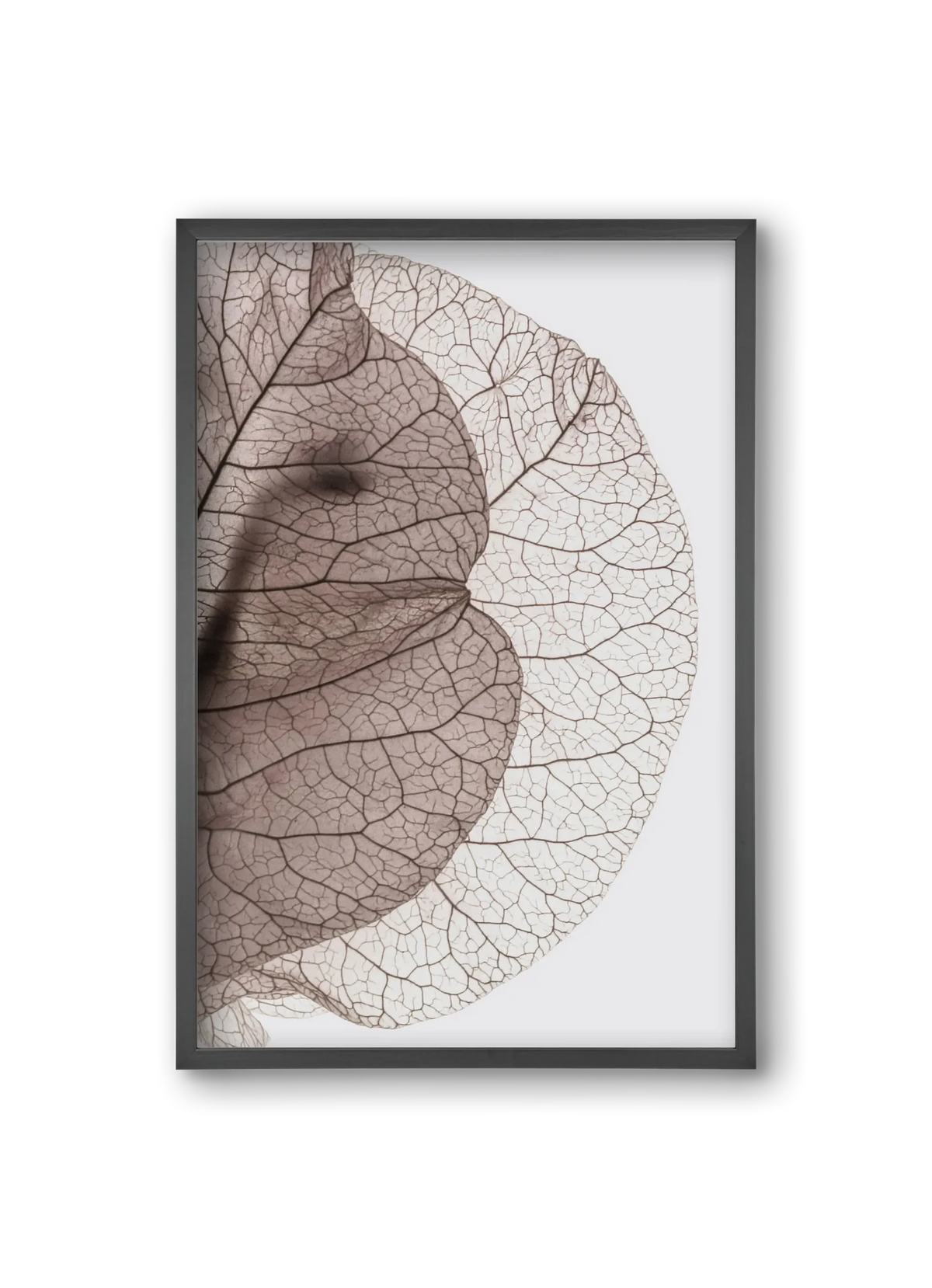 Bougainvillea Island - artbridge