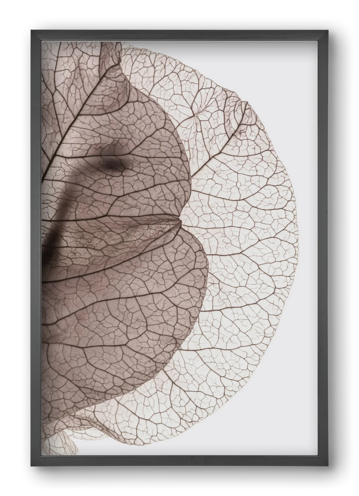 Bougainvillea Island - artbridge