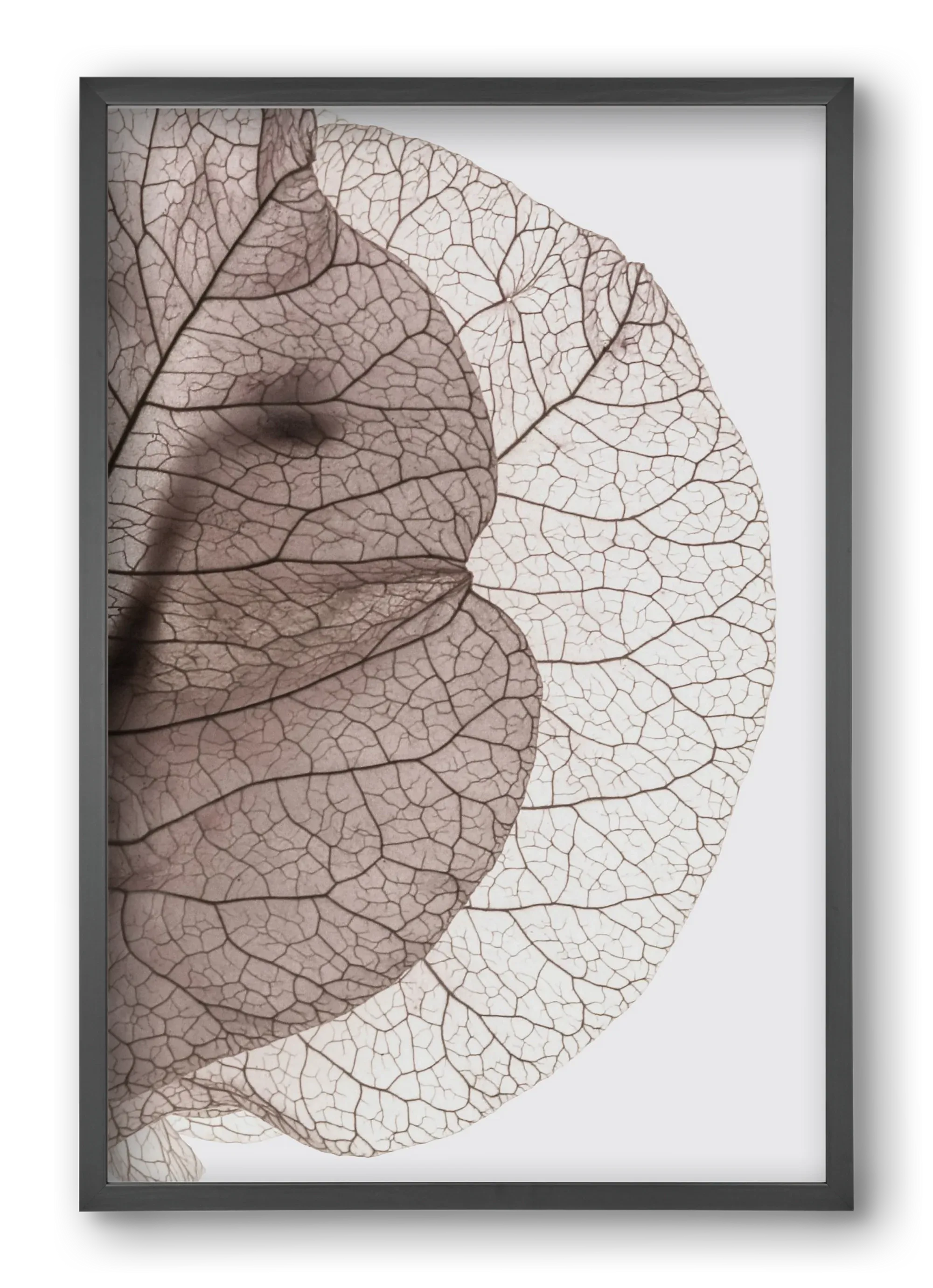 Bougainvillea Island - artbridge