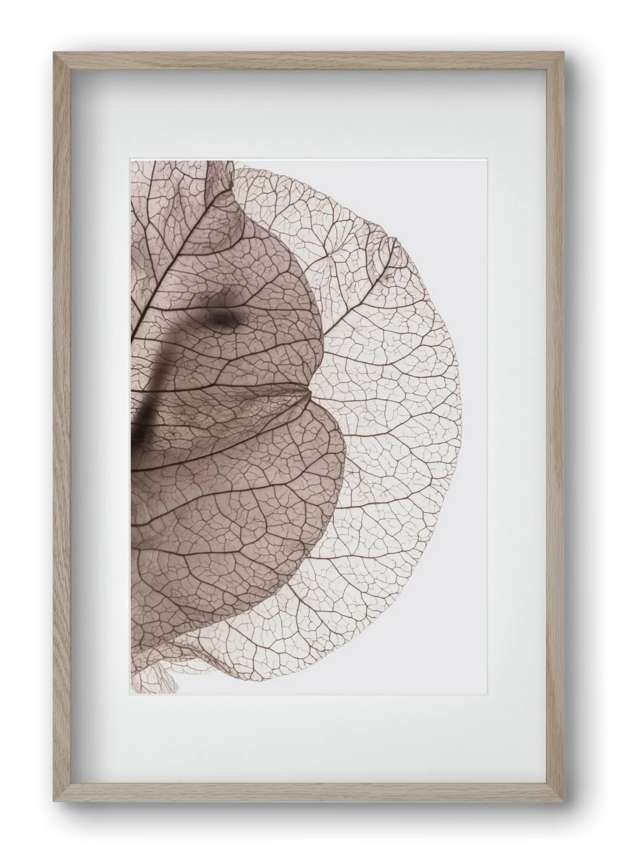 Bougainvillea Island - artbridge