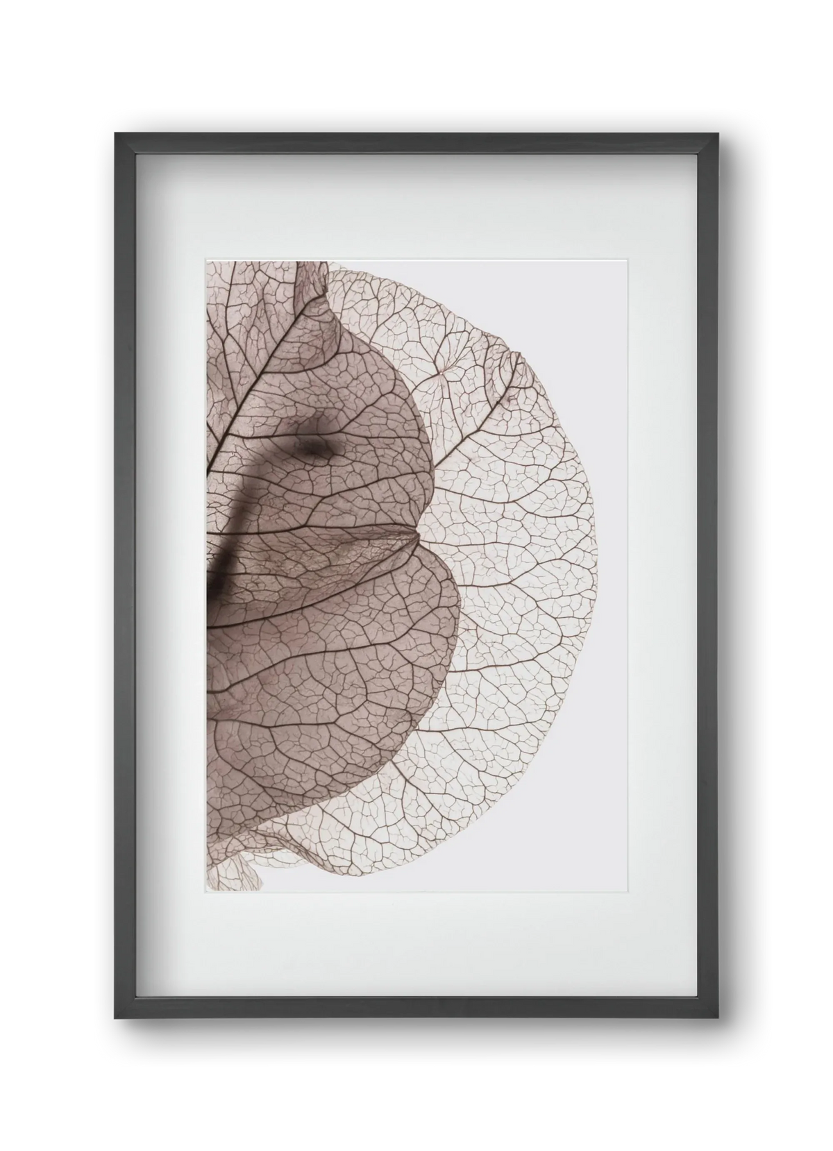 Bougainvillea Island - artbridge