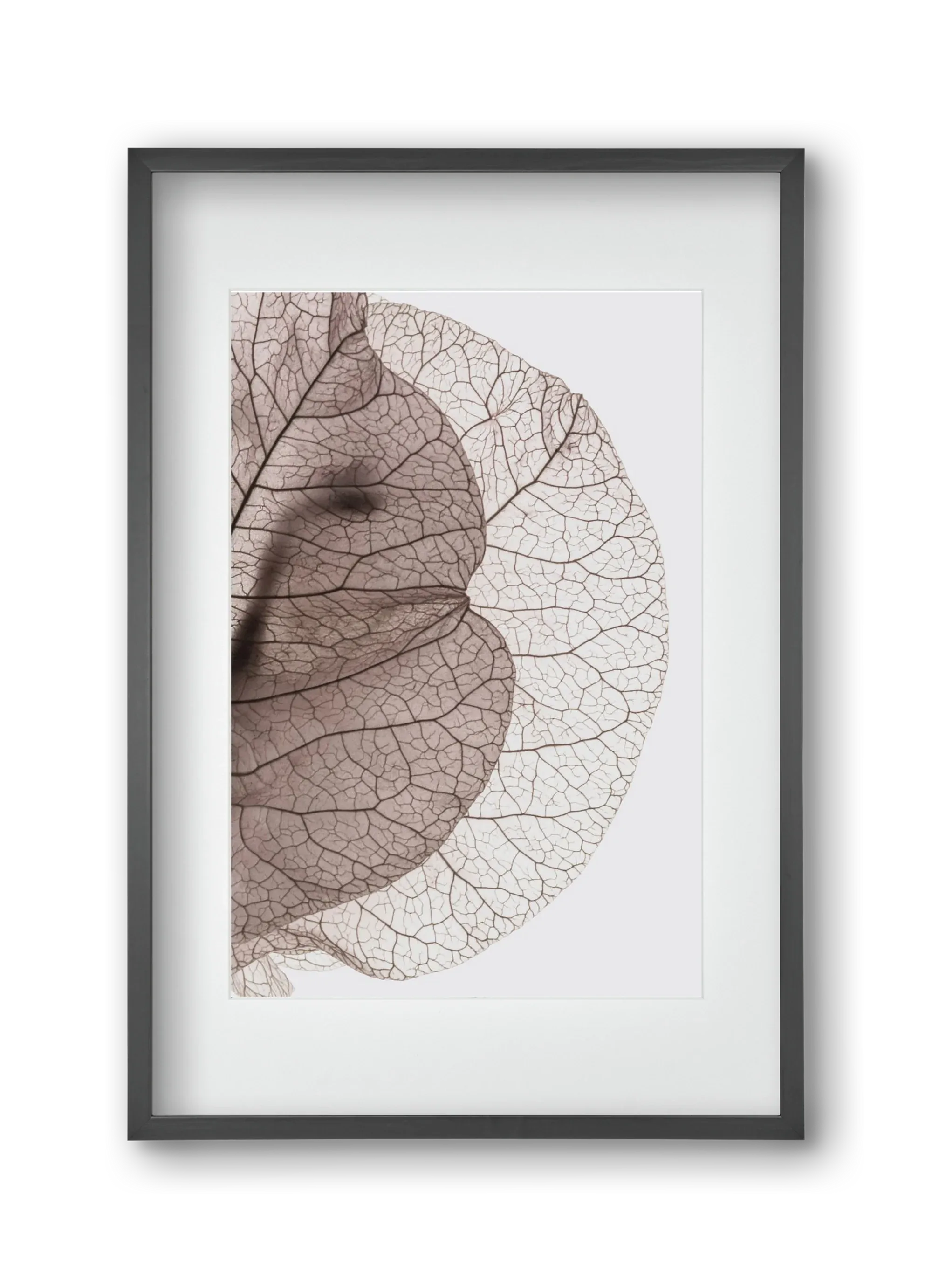 Bougainvillea Island - artbridge