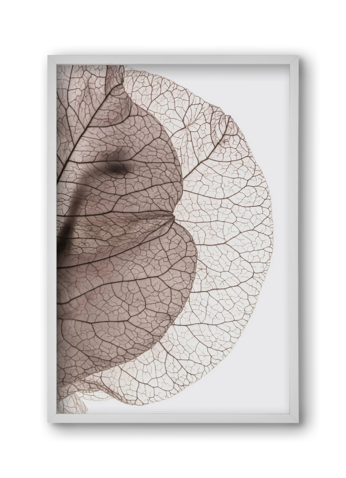 Bougainvillea Island - artbridge