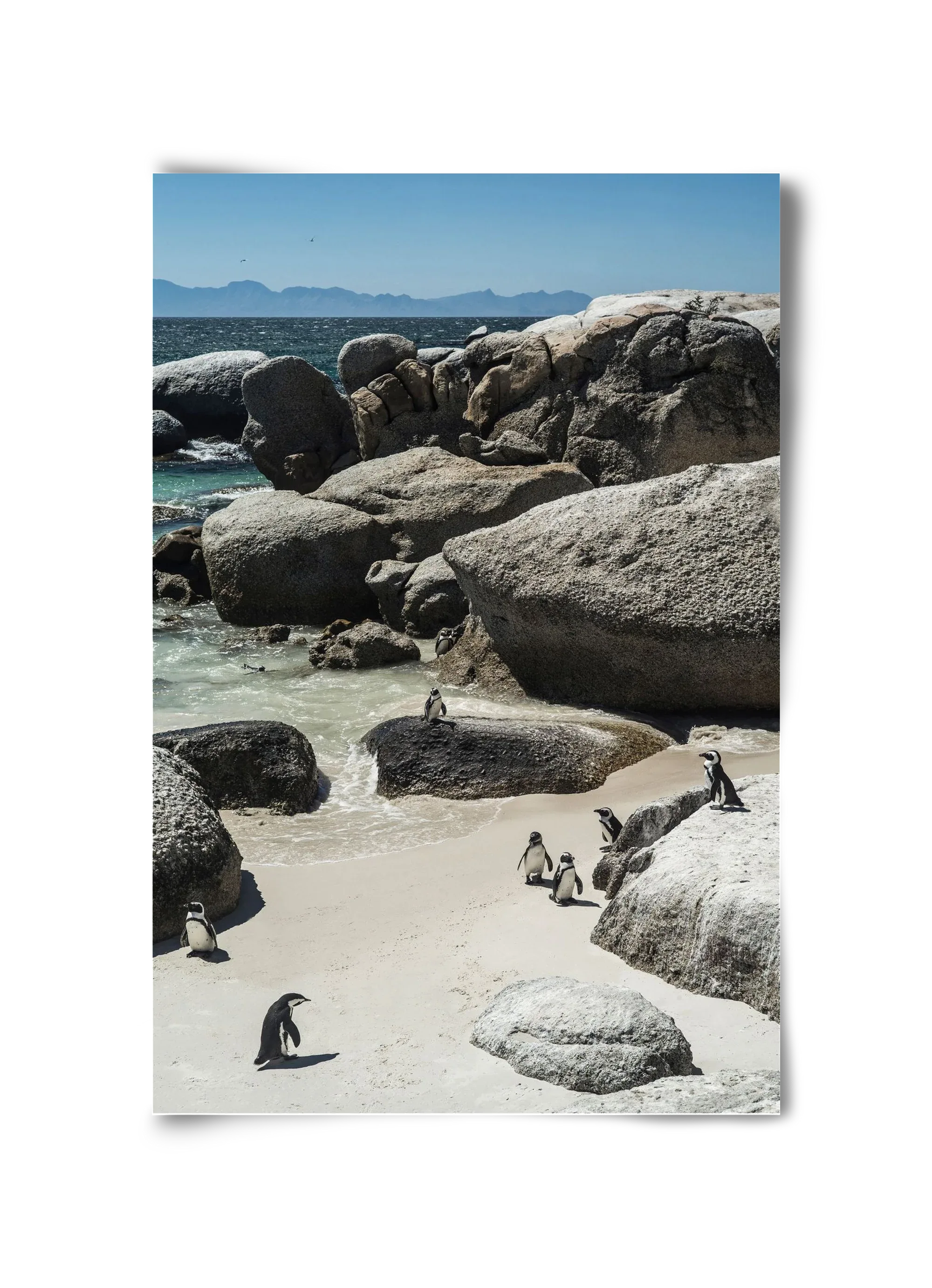 Boulders Beach - artbridge