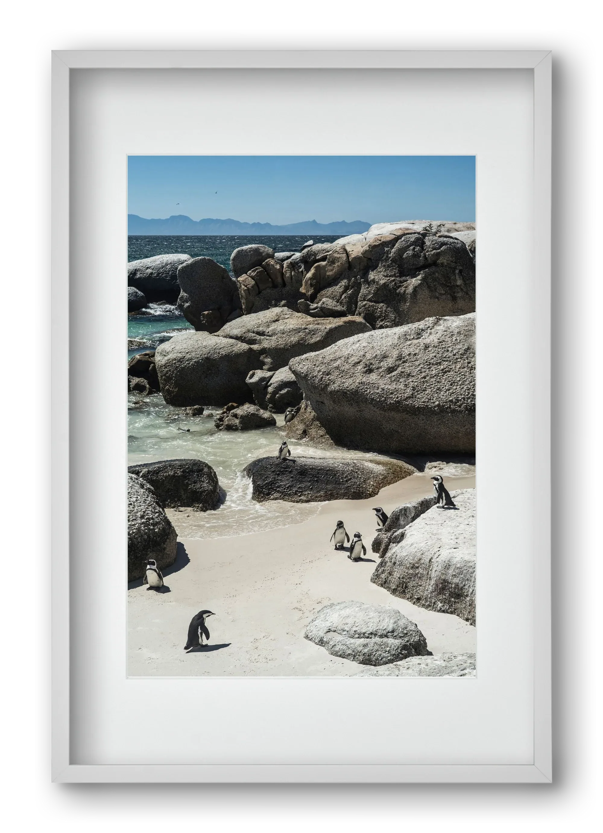 Boulders Beach - artbridge