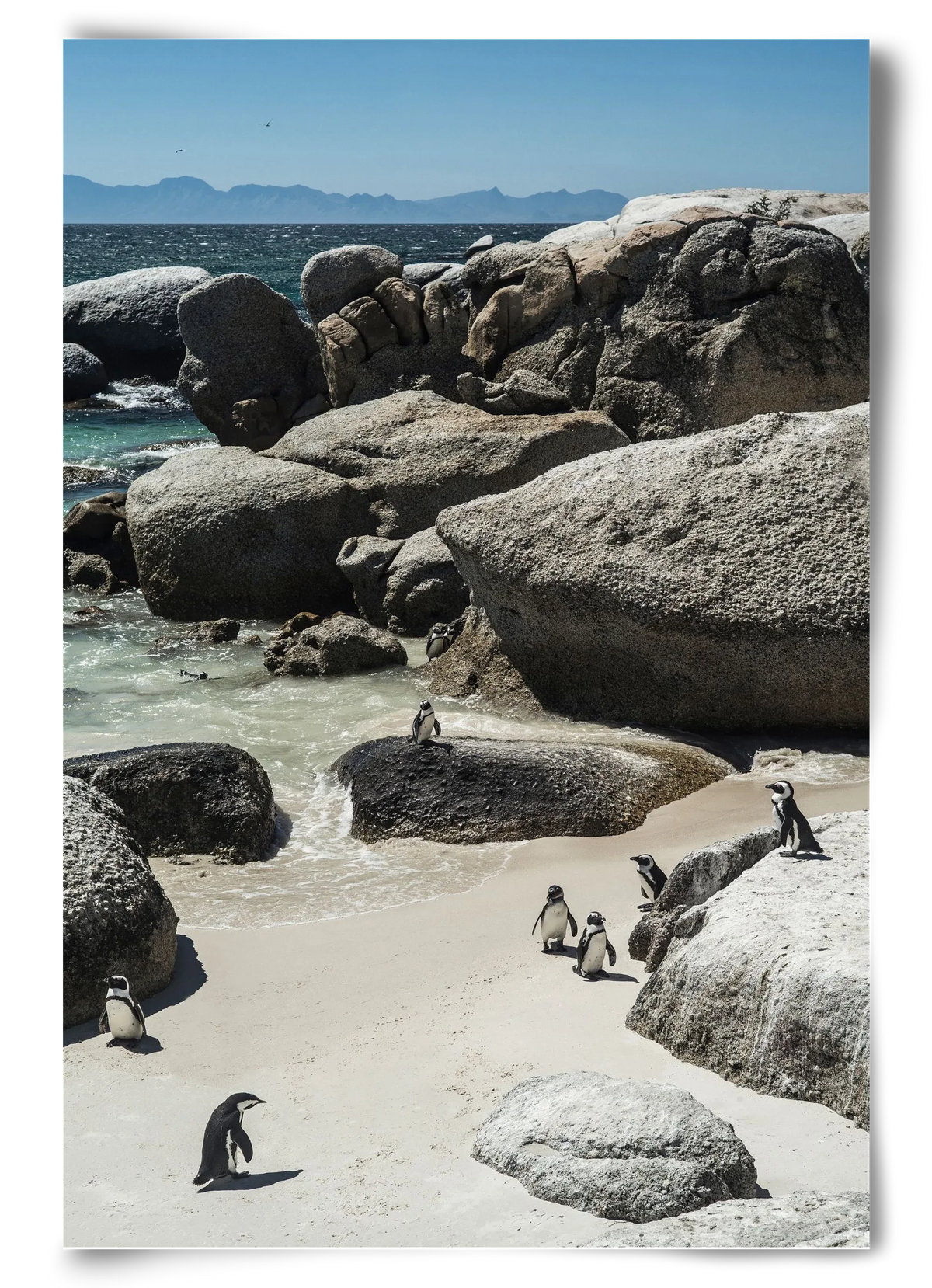 Boulders Beach - artbridge