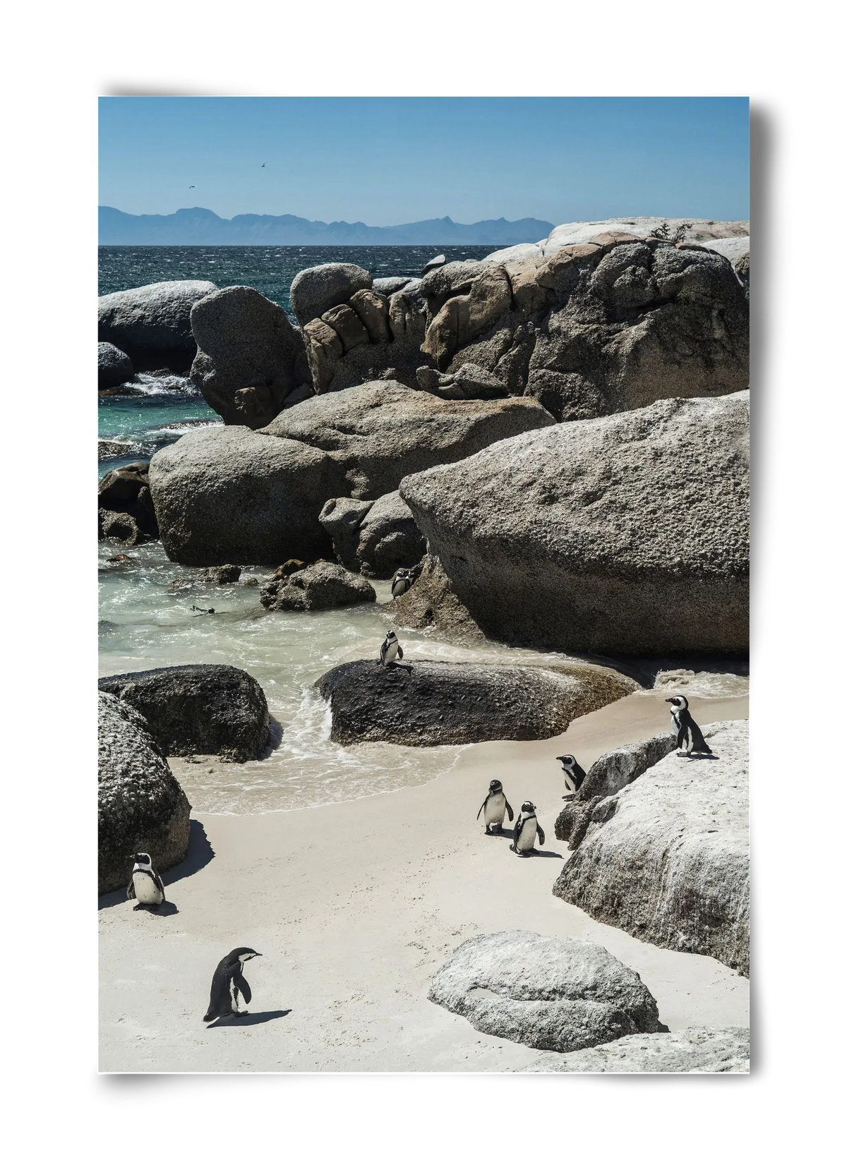 Boulders Beach - artbridge