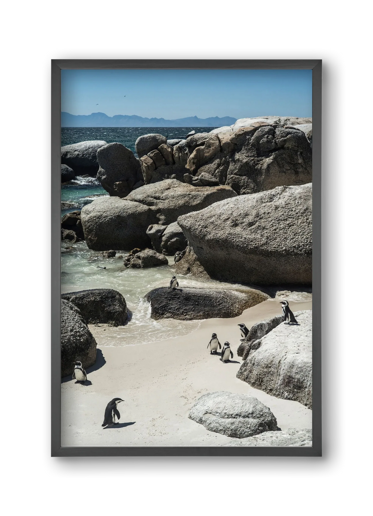 Boulders Beach - artbridge