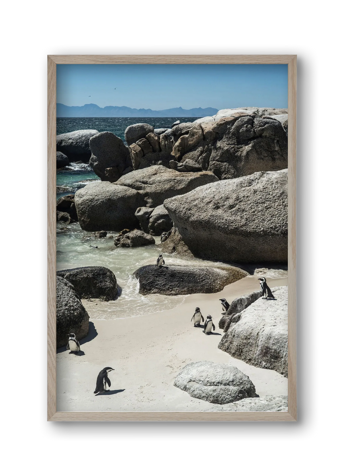 Boulders Beach - artbridge