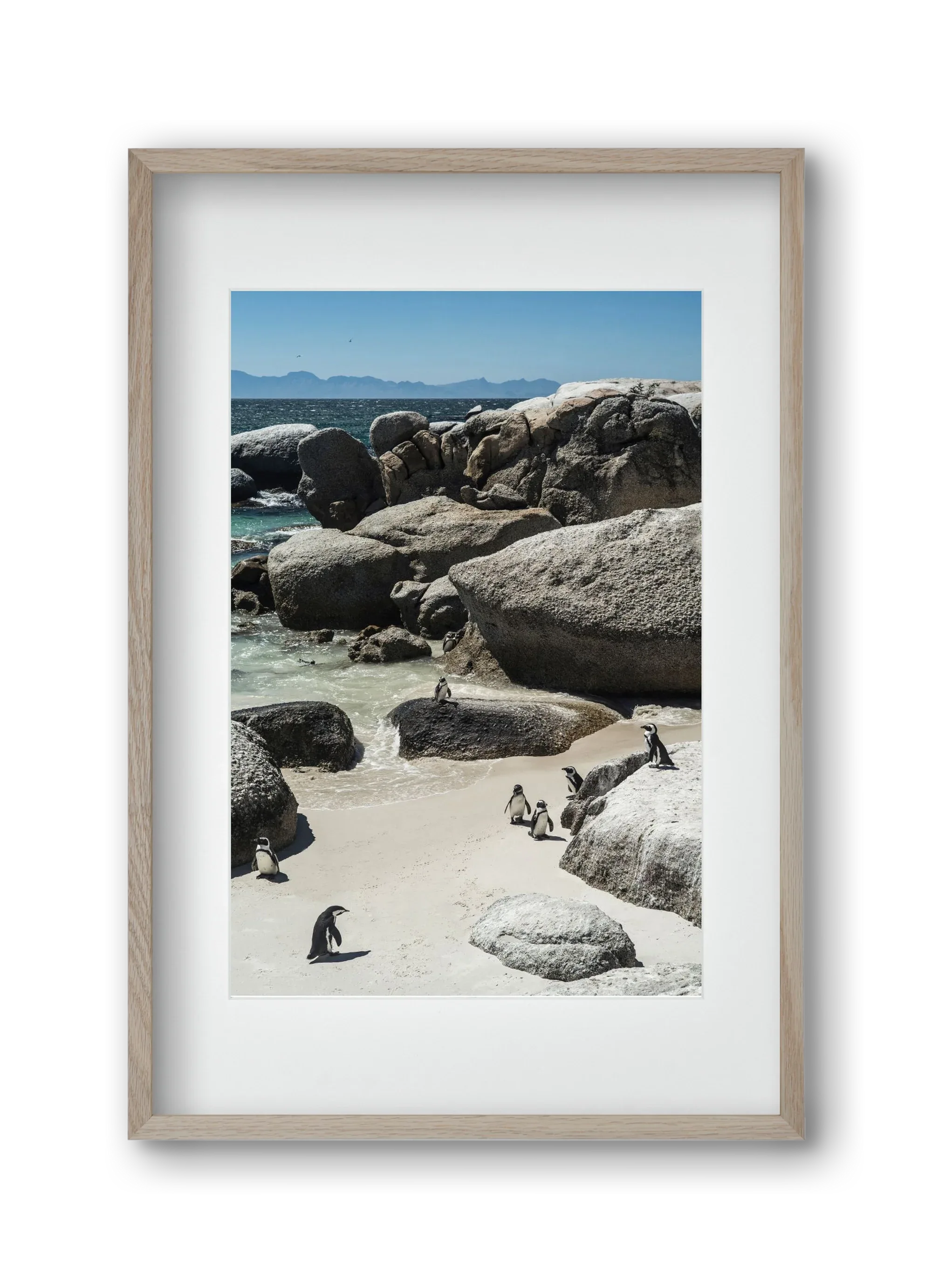 Boulders Beach - artbridge