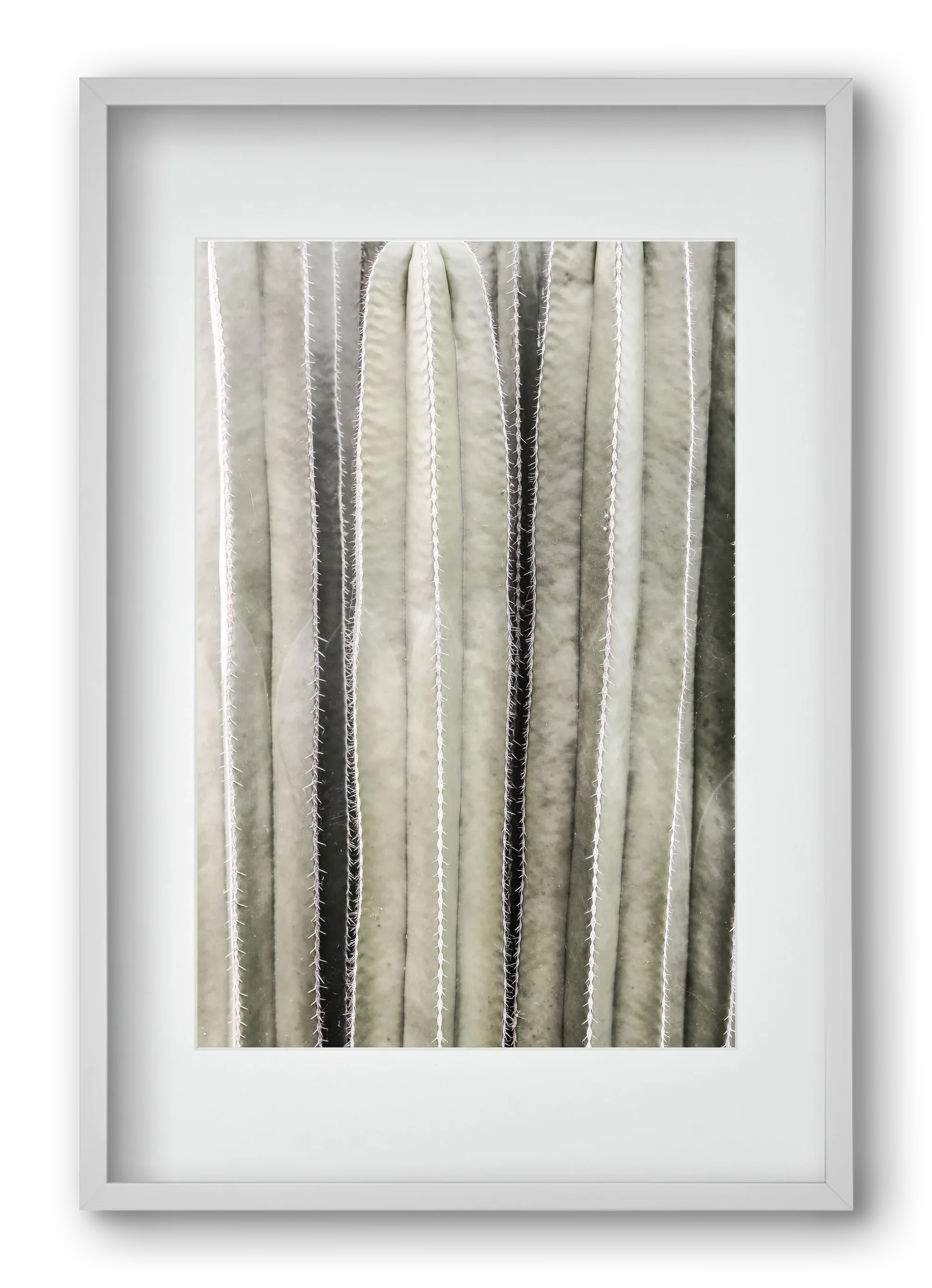 Cactiriver - artbridge