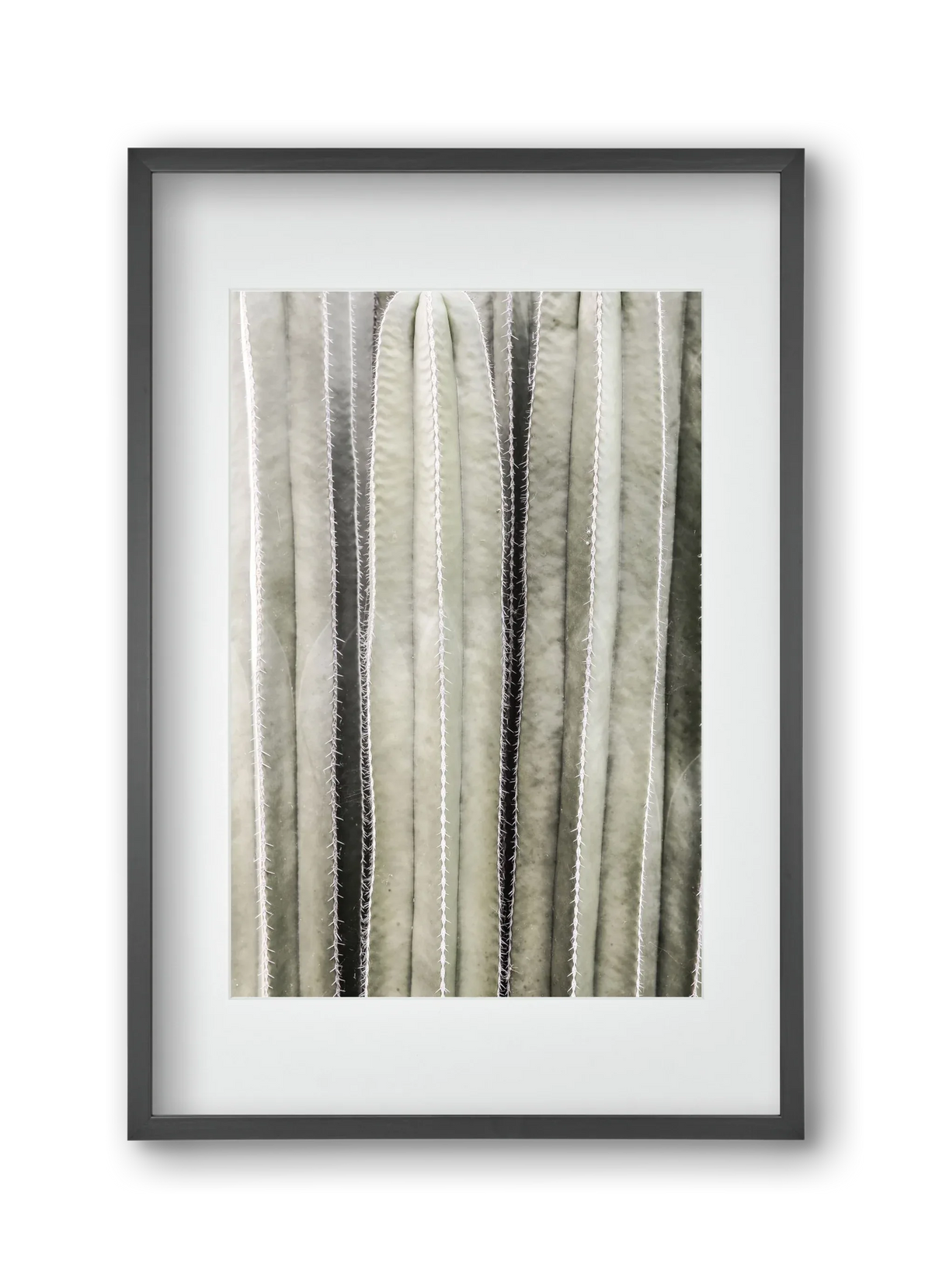 Cactiriver - artbridge