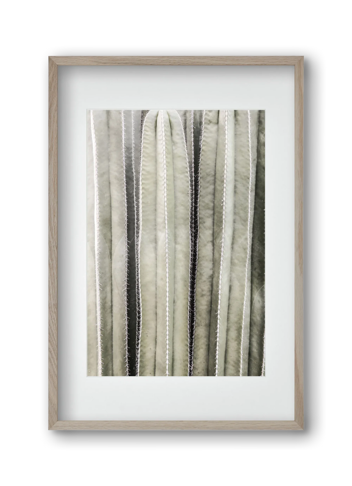 Cactiriver - artbridge