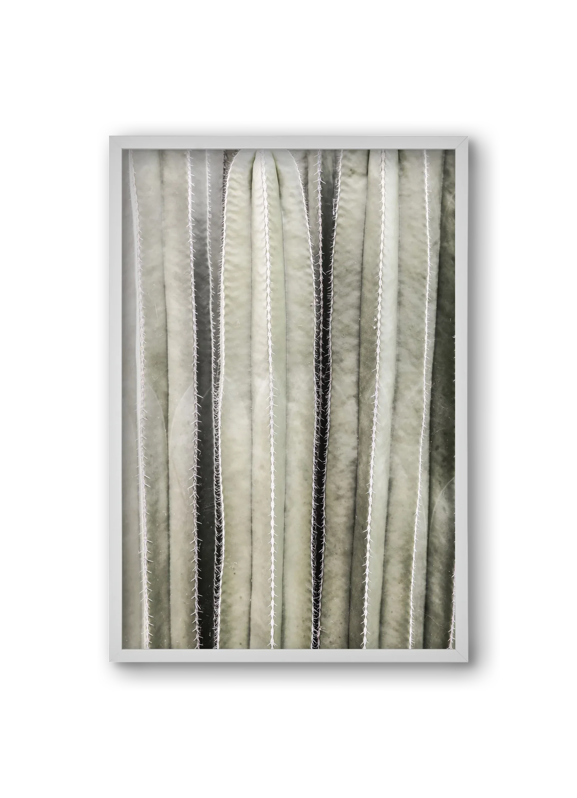Cactiriver - artbridge