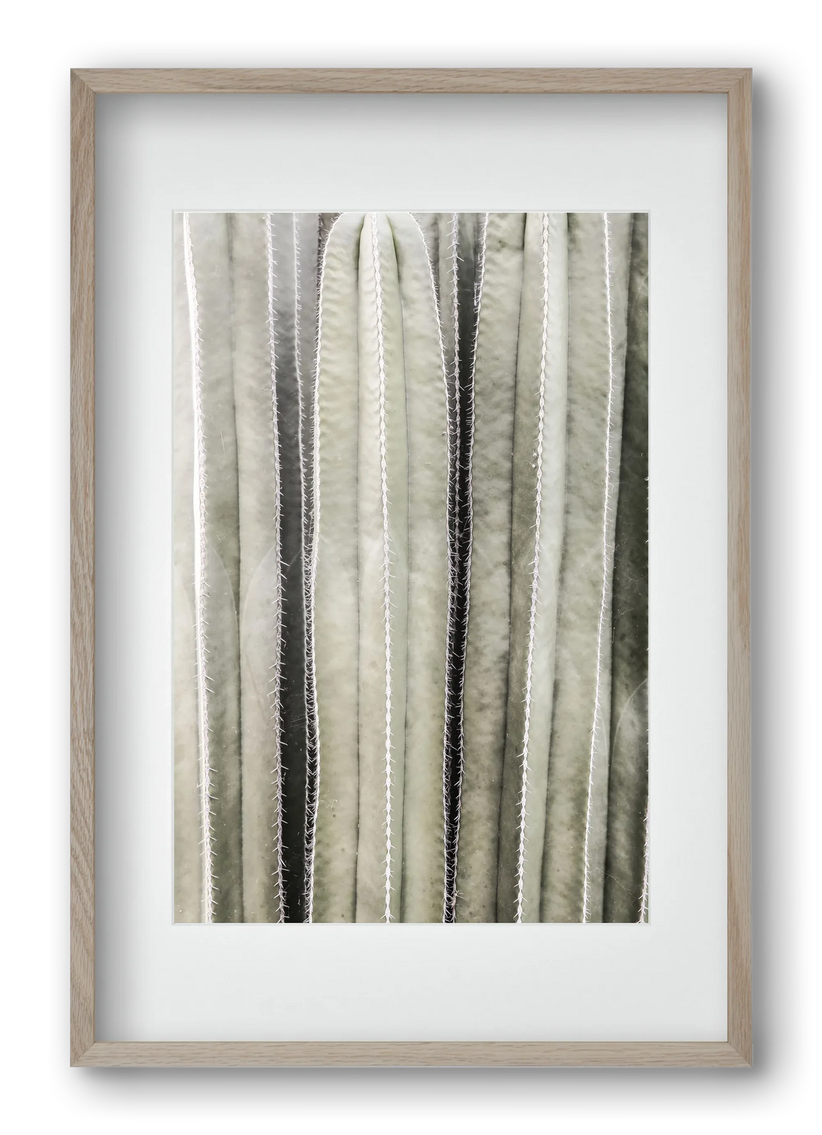 Cactiriver - artbridge