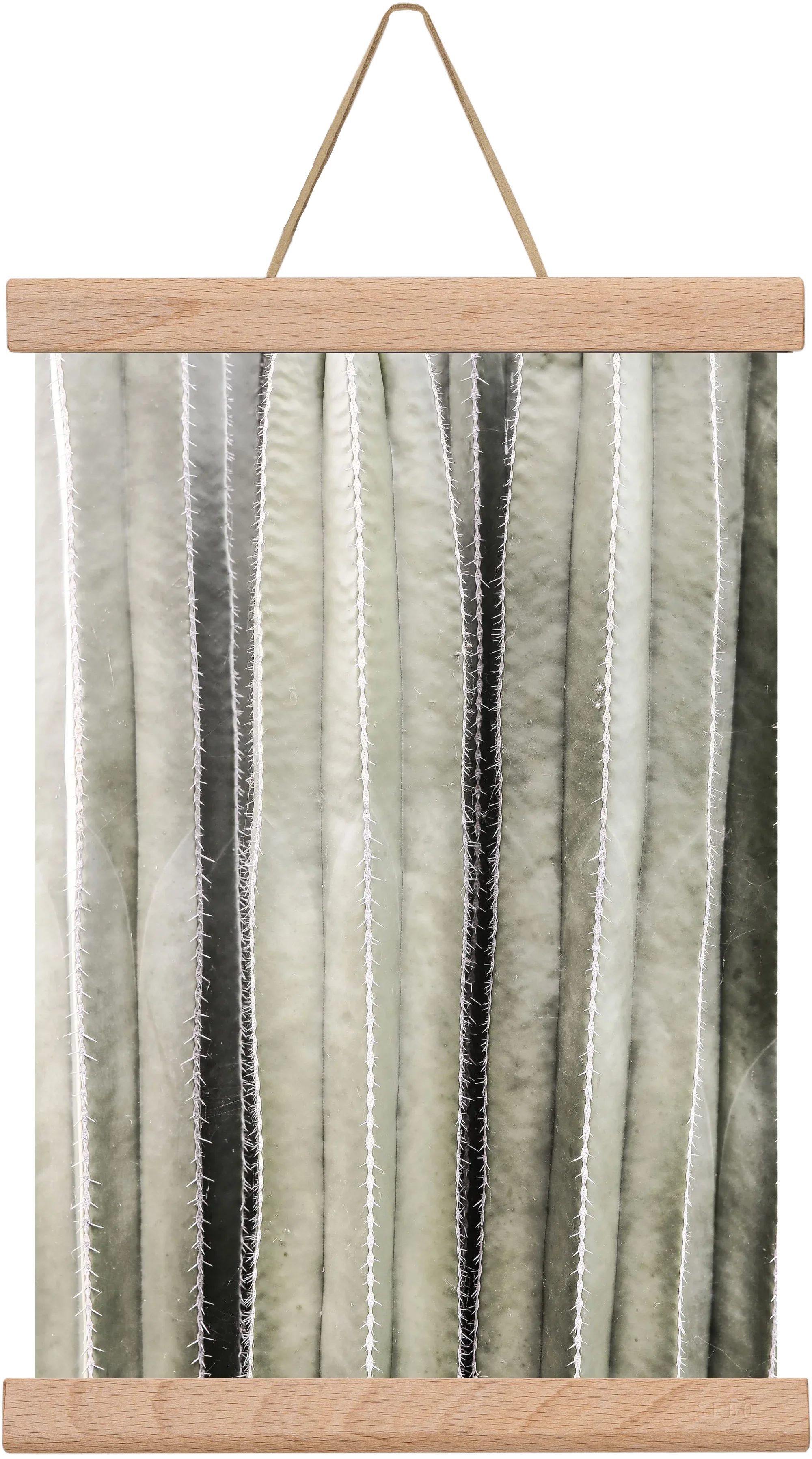 Cactiriver - artbridge