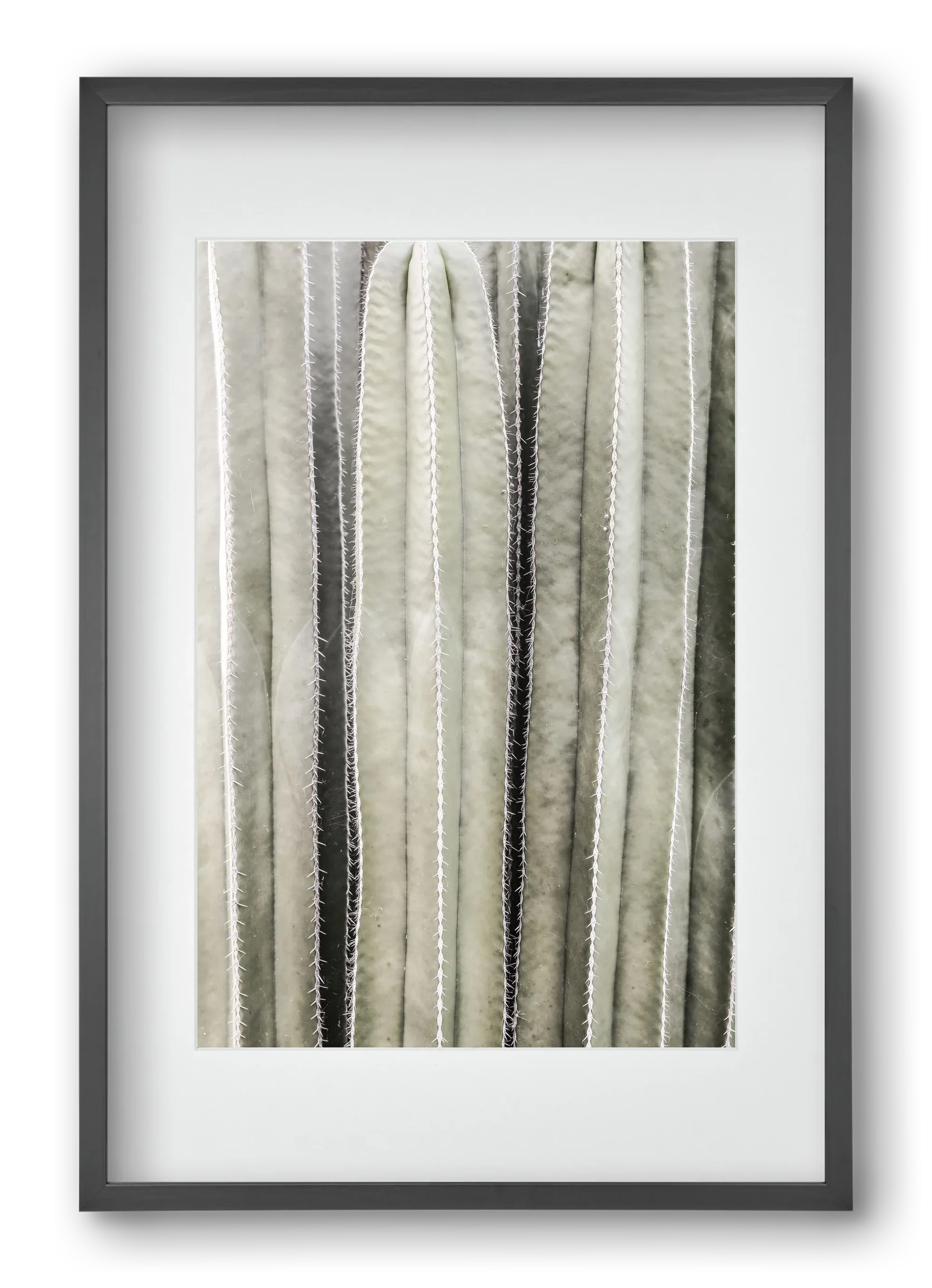 Cactiriver - artbridge