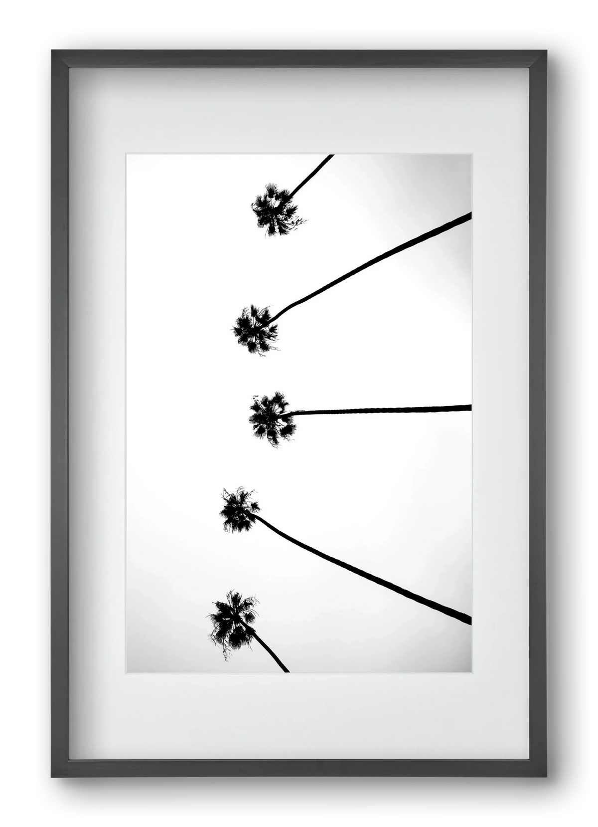 Cali Cathedrals - artbridge