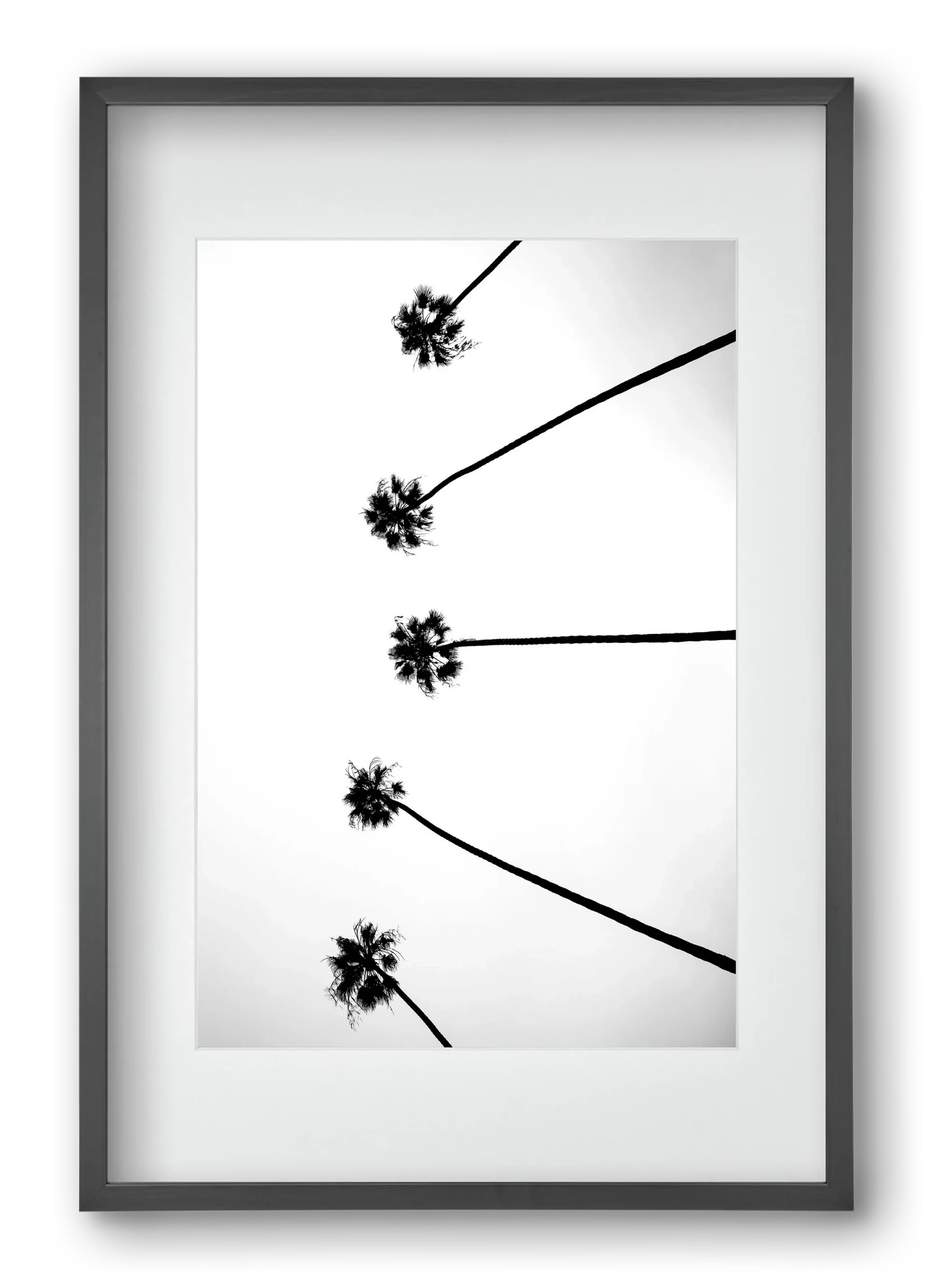 Cali Cathedrals - artbridge