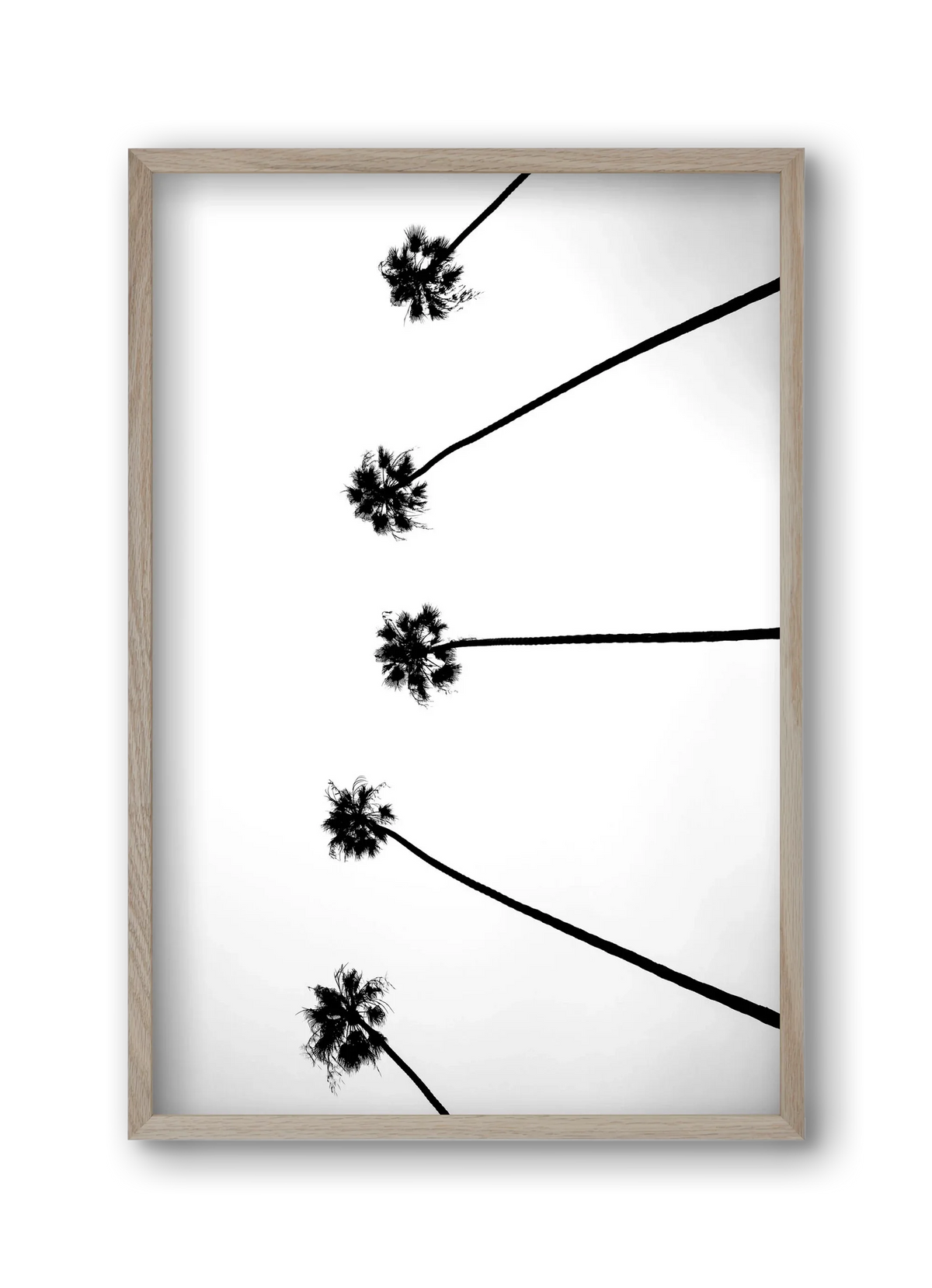 Cali Cathedrals - artbridge