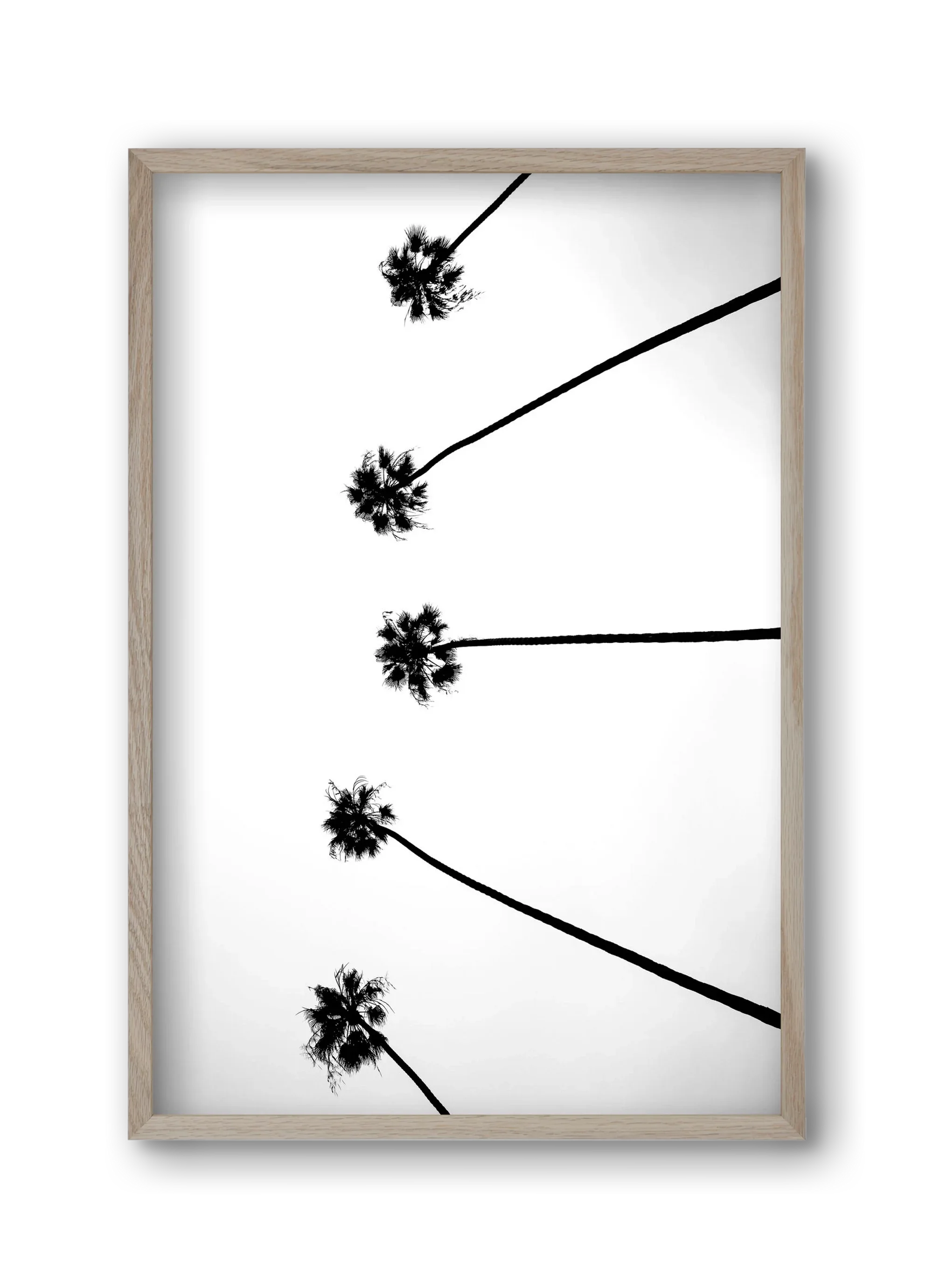 Cali Cathedrals - artbridge