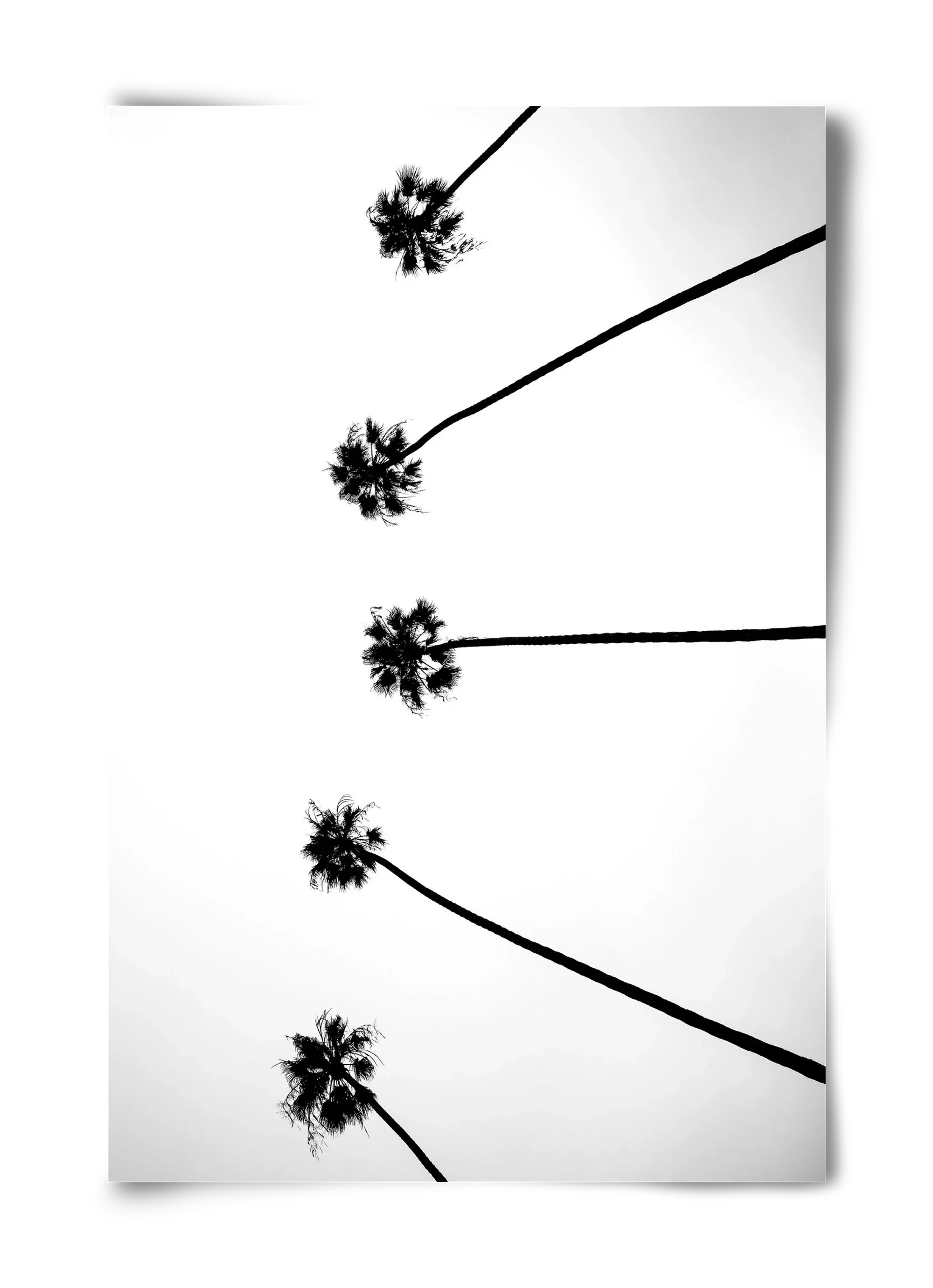 Cali Cathedrals - artbridge