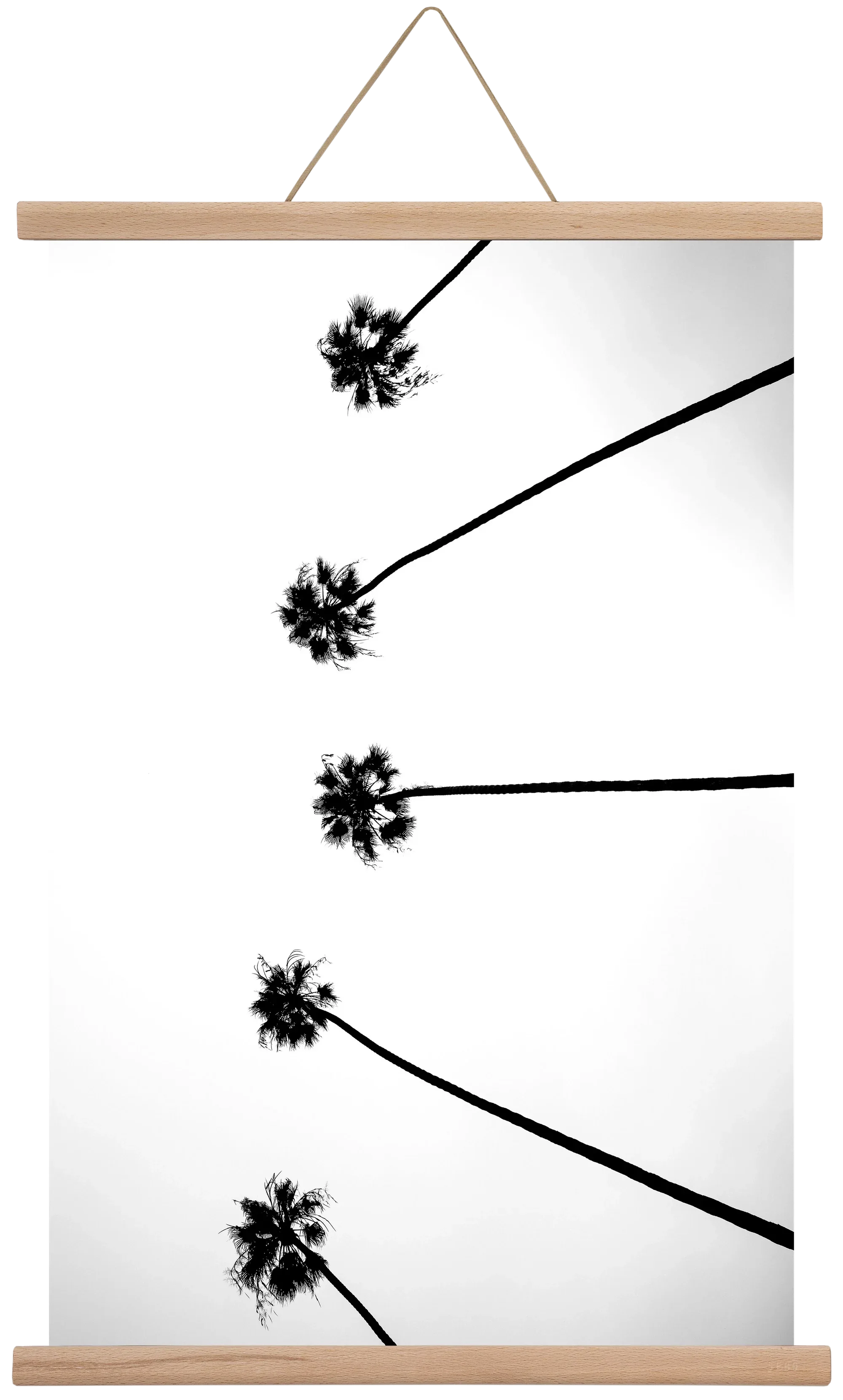 Cali Cathedrals - artbridge