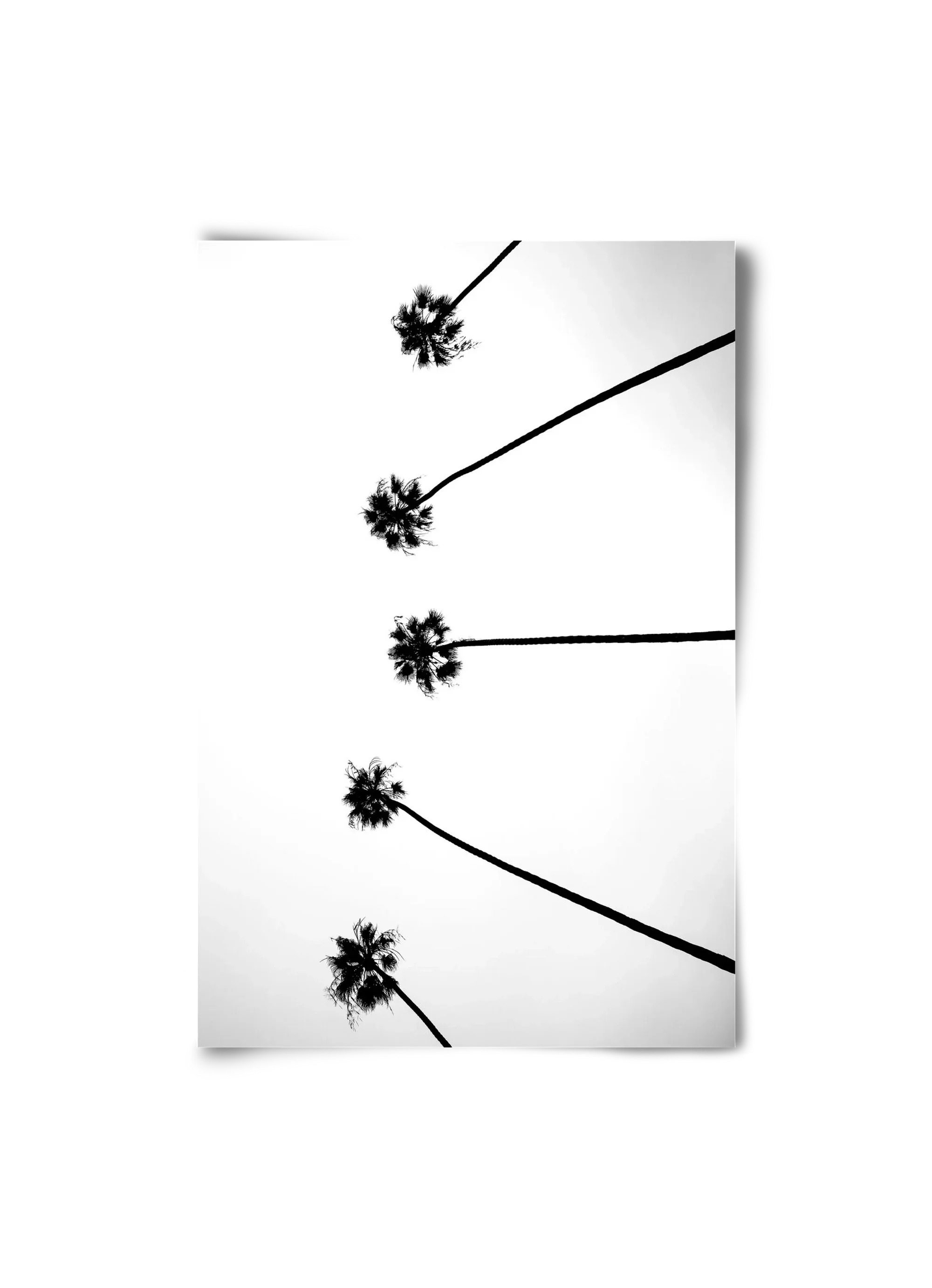 Cali Cathedrals - artbridge