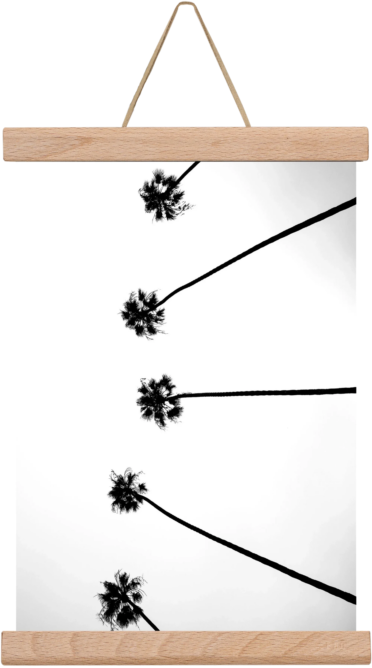 Cali Cathedrals - artbridge
