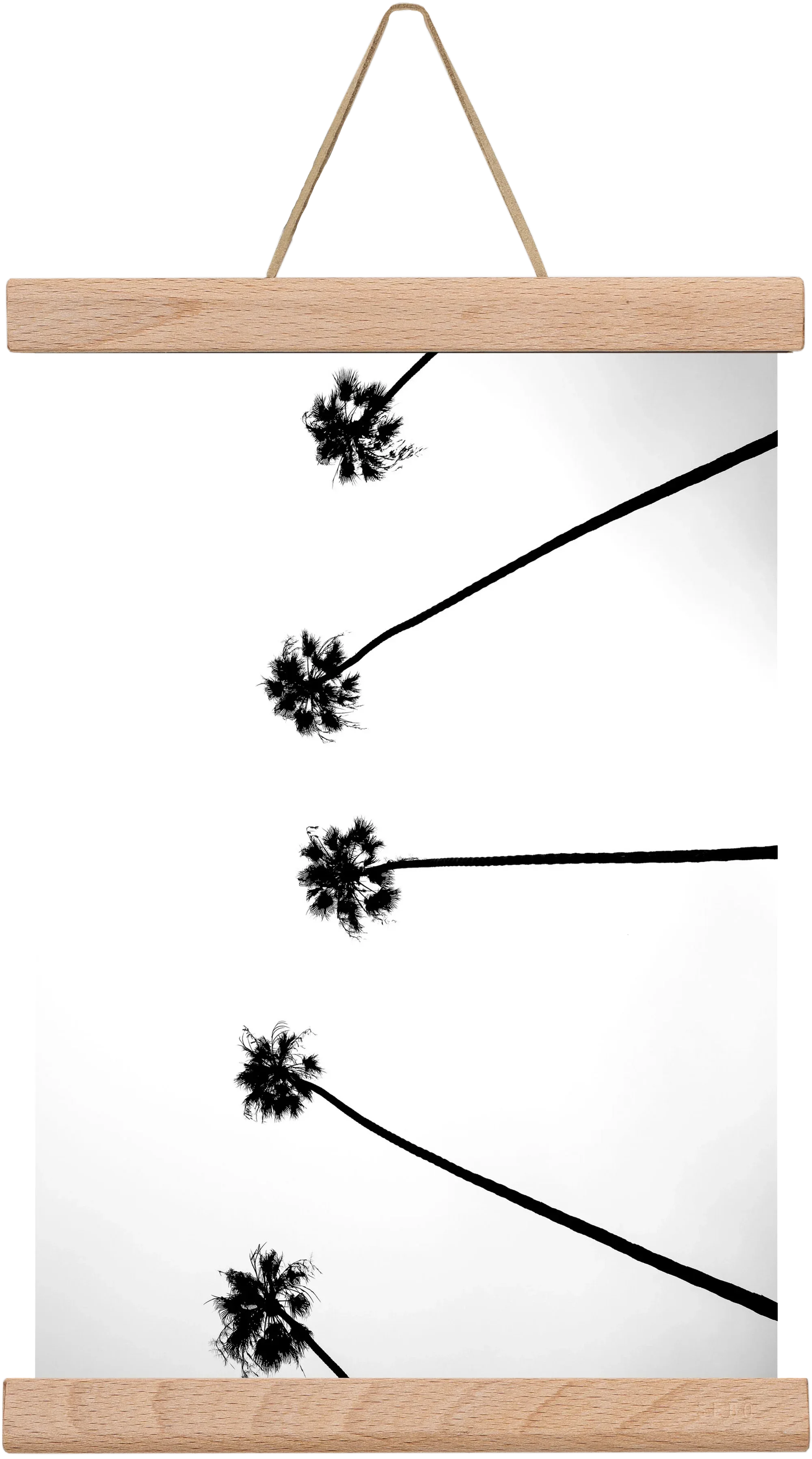 Cali Cathedrals - artbridge