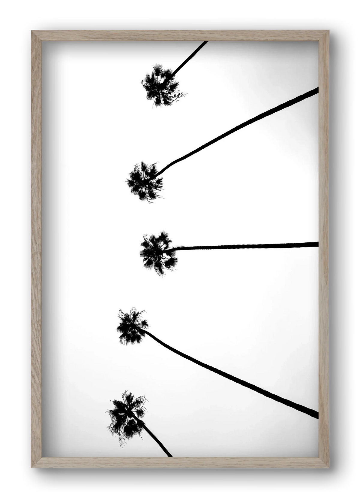 Cali Cathedrals - artbridge