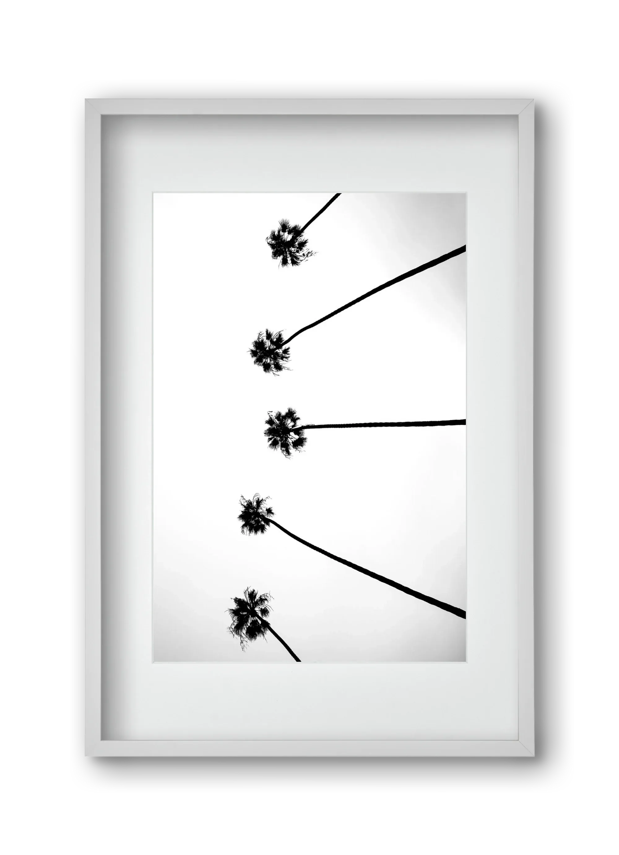 Cali Cathedrals - artbridge