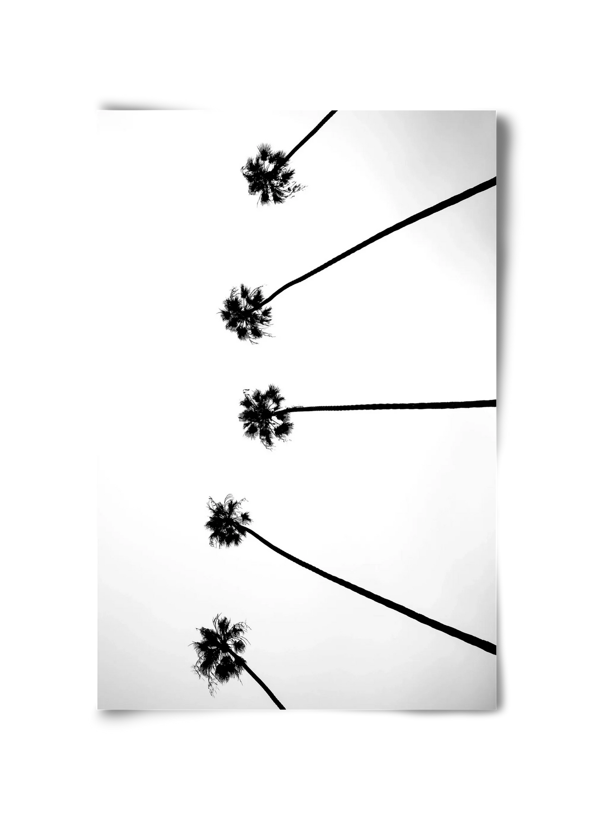 Cali Cathedrals - artbridge
