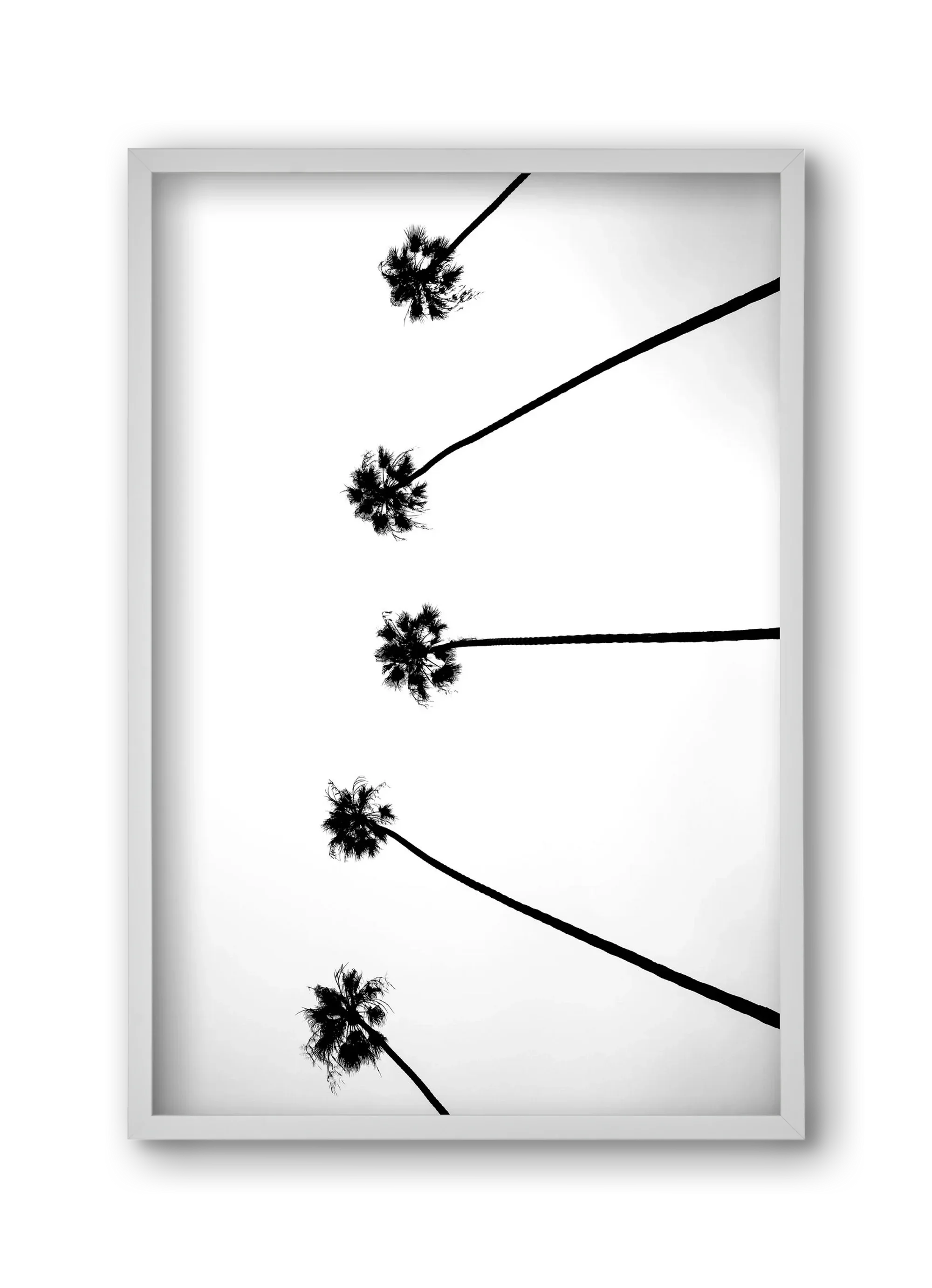 Cali Cathedrals - artbridge
