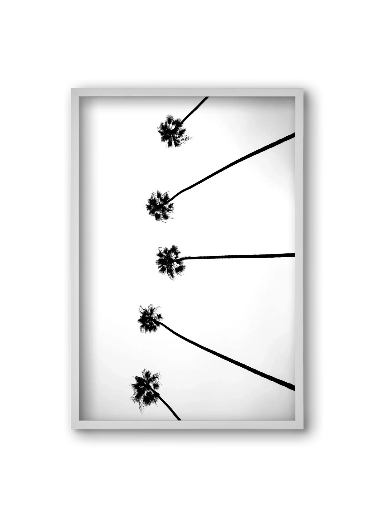 Cali Cathedrals - artbridge