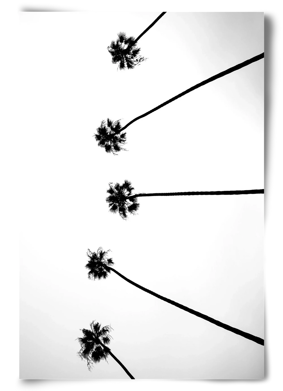 Cali Cathedrals - artbridge