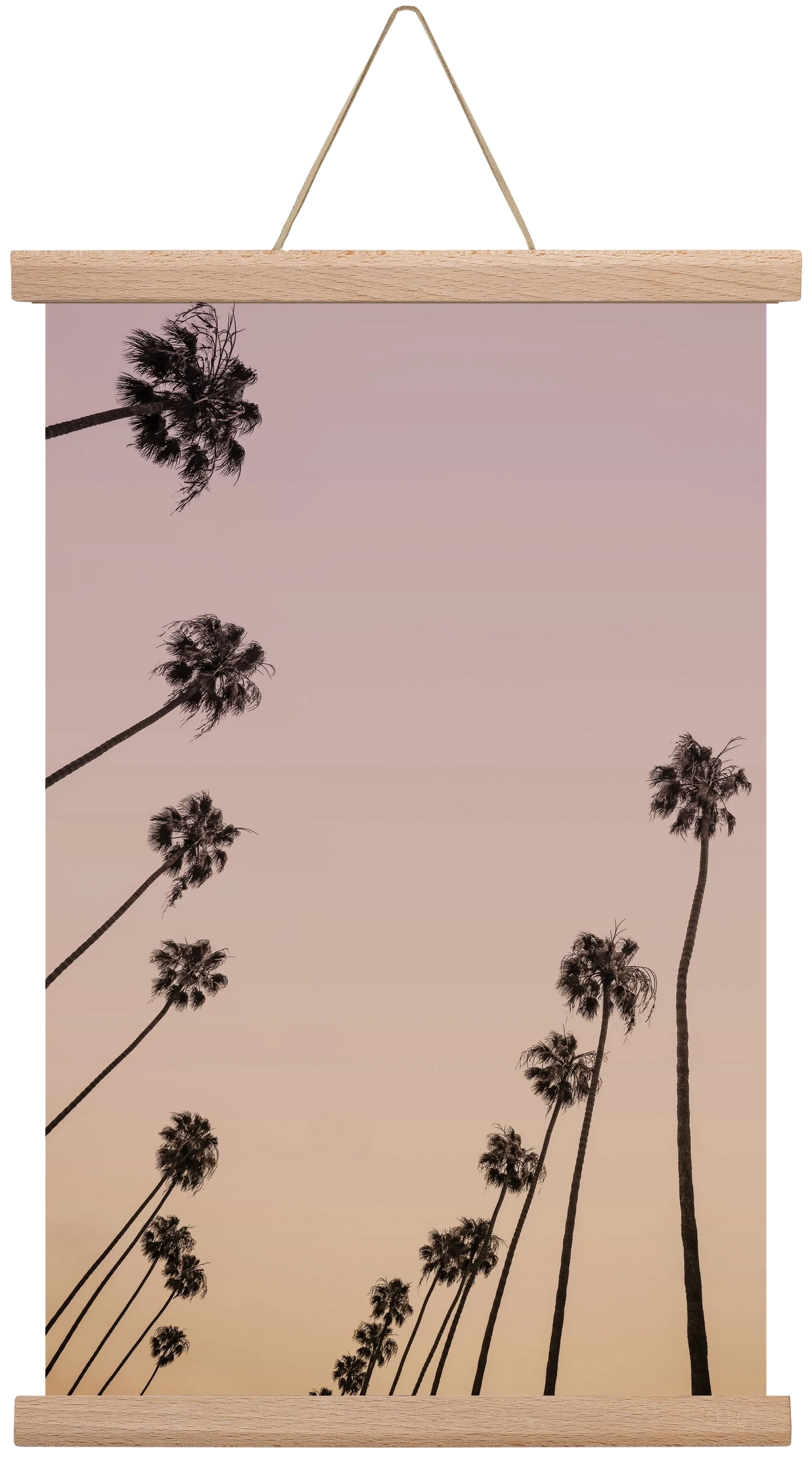 Cali Cathedrals II. - artbridge