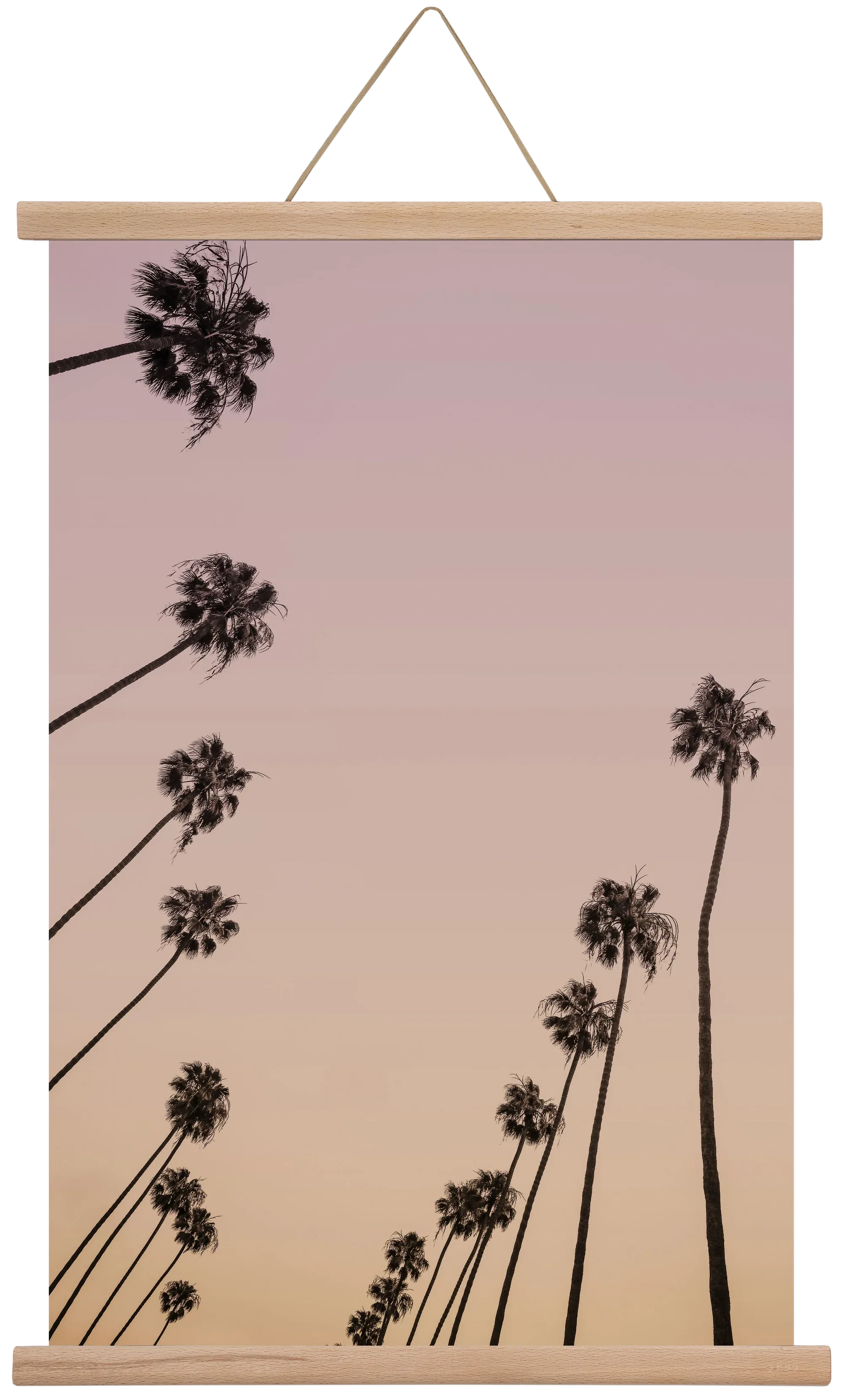 Cali Cathedrals II. - artbridge