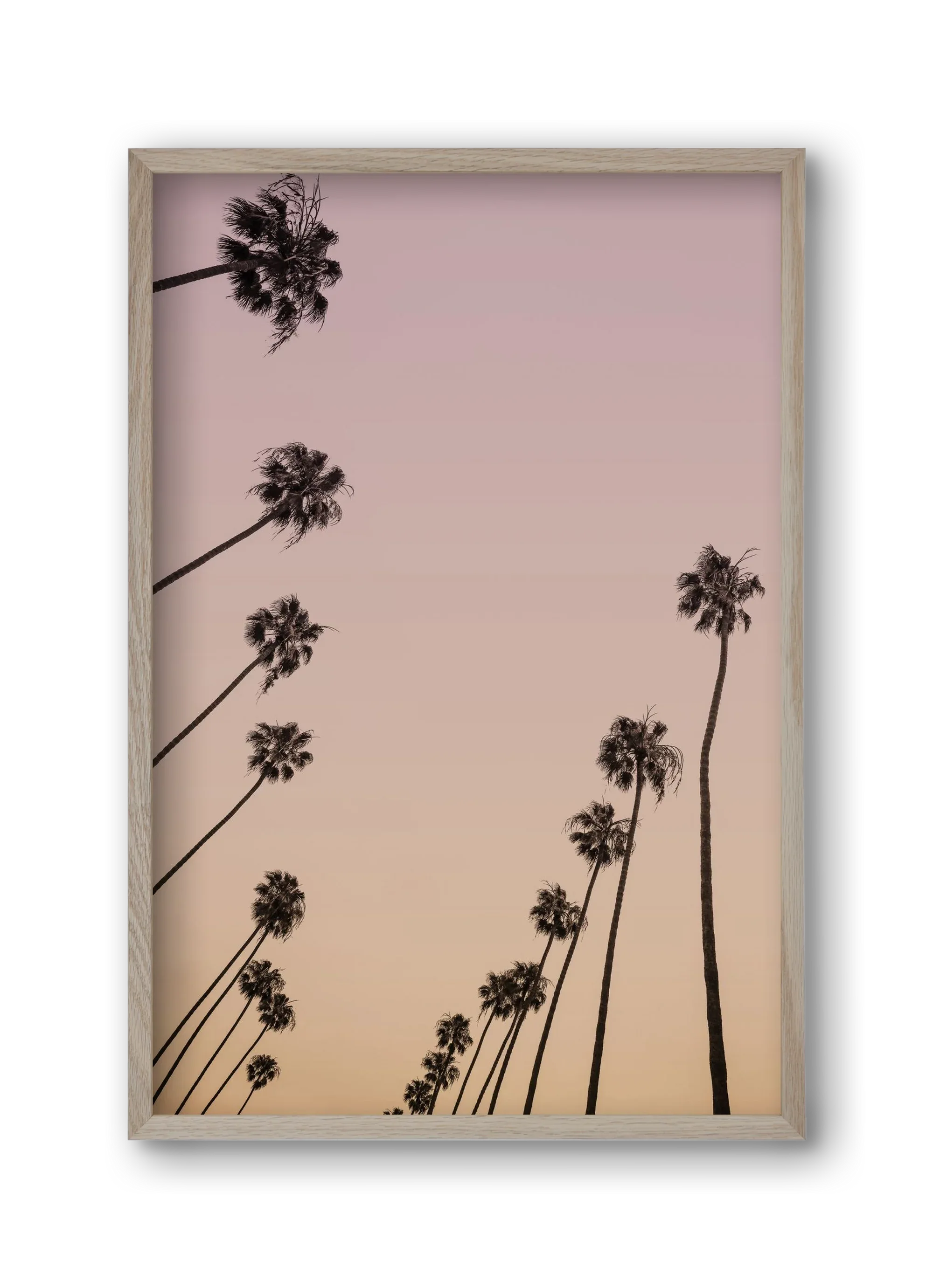 Cali Cathedrals II. - artbridge
