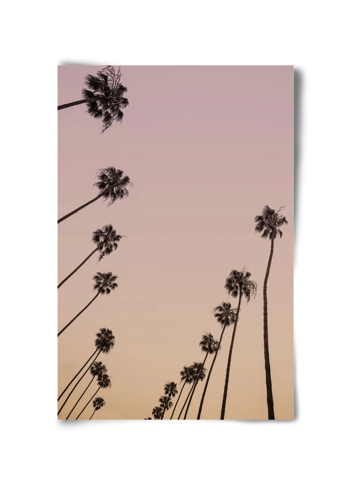 Cali Cathedrals II. - artbridge