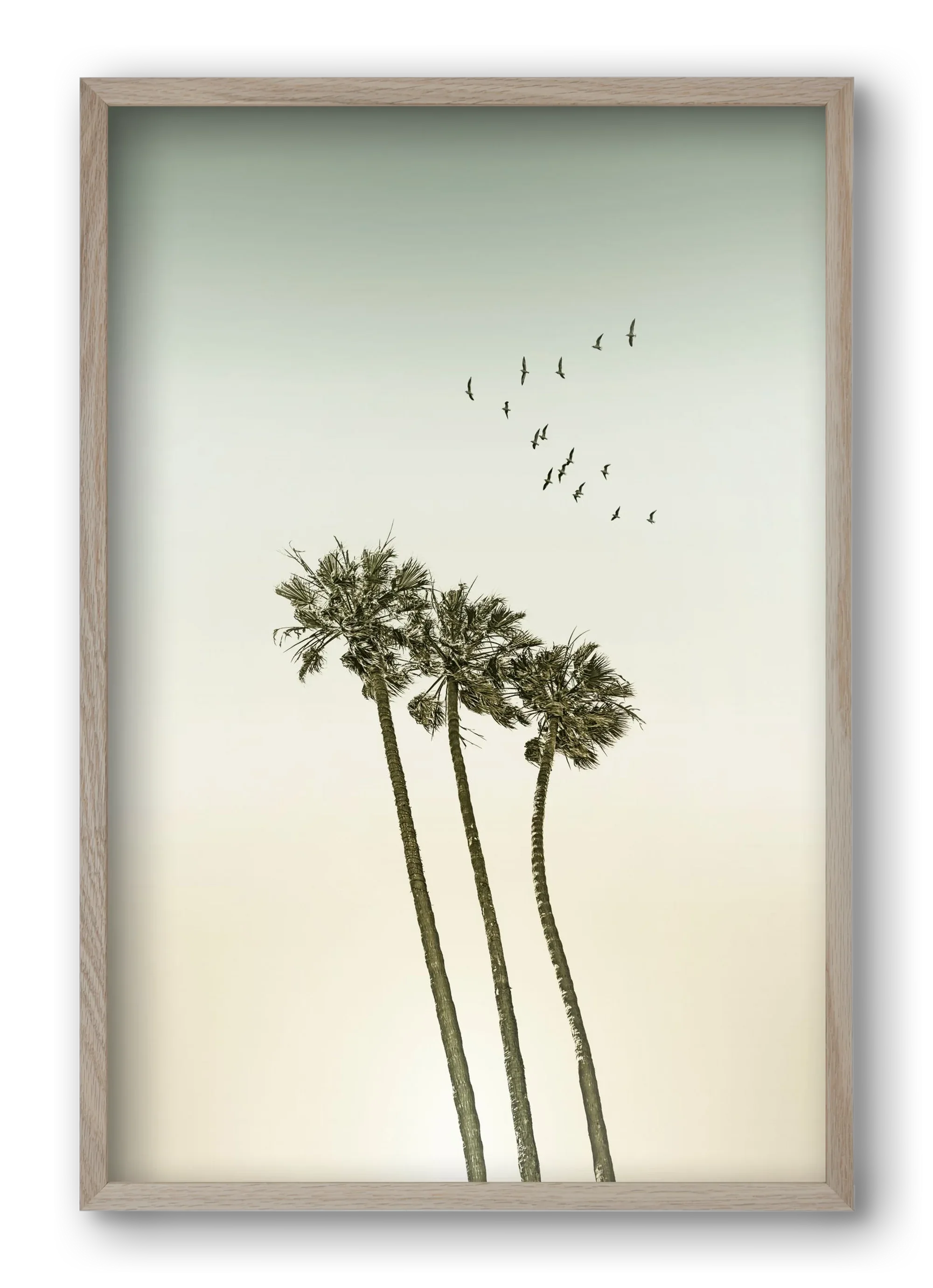 Vintage palm trees at sunset - artbridge