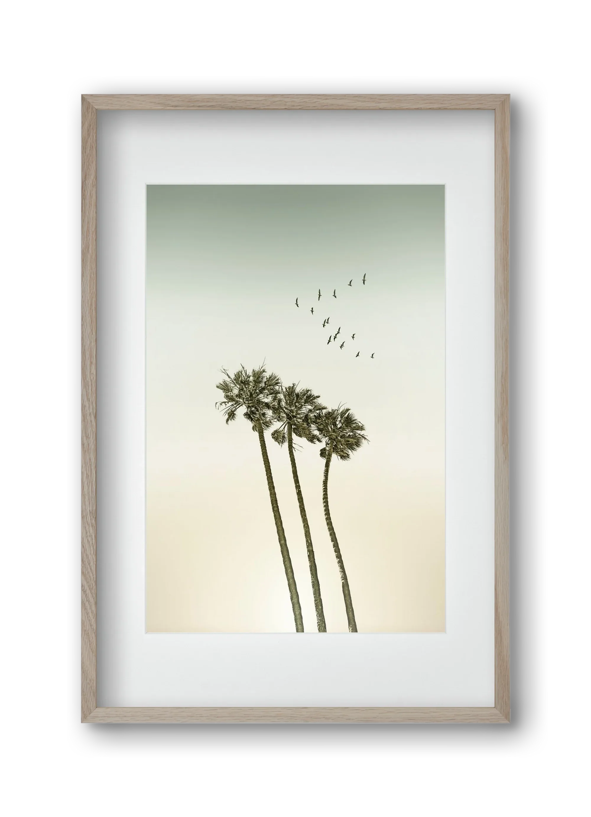 Vintage palm trees at sunset - artbridge