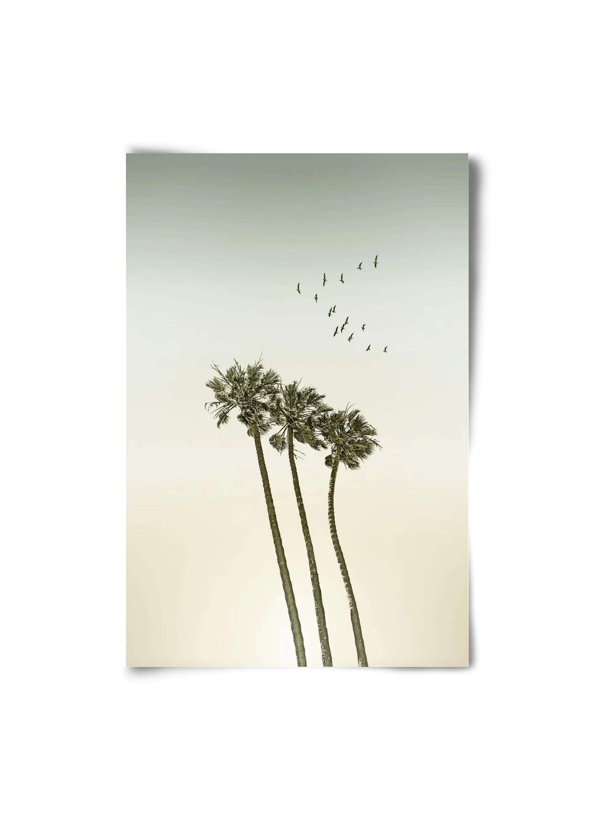 Vintage palm trees at sunset - artbridge