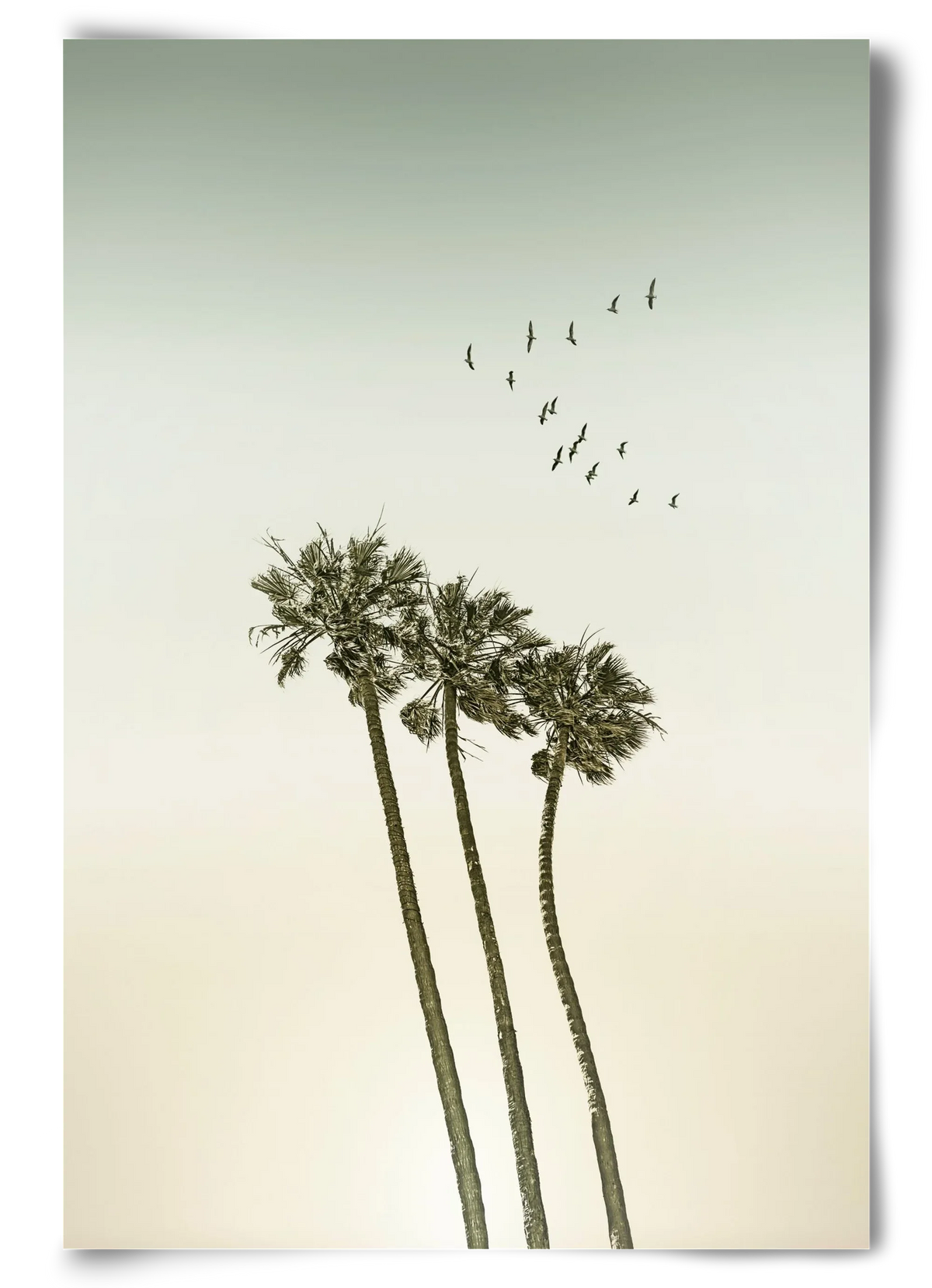 Vintage palm trees at sunset - artbridge